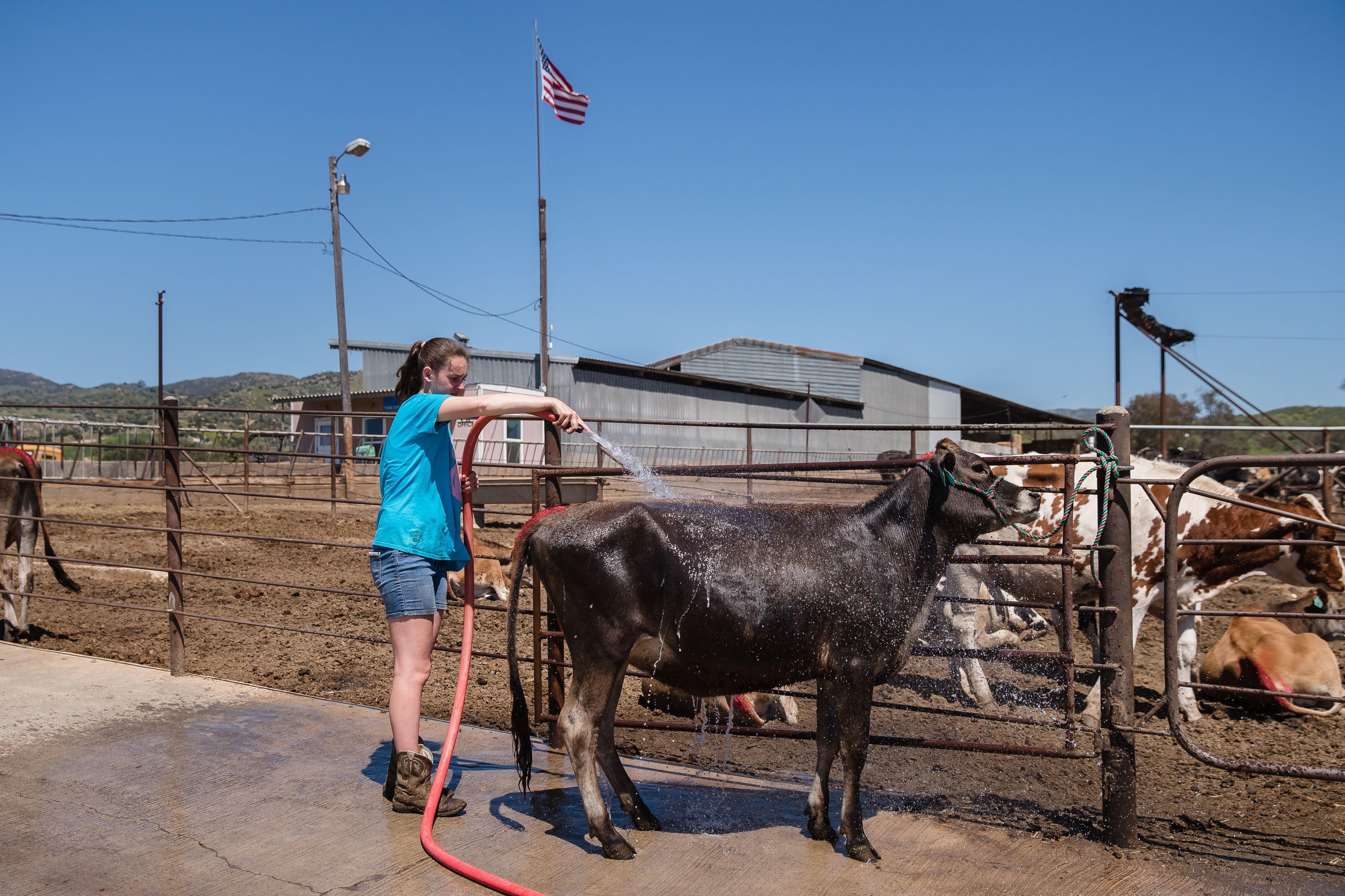 Consumer awareness of women’s contributions to agriculture is expected to rise, Whole Food has said.
