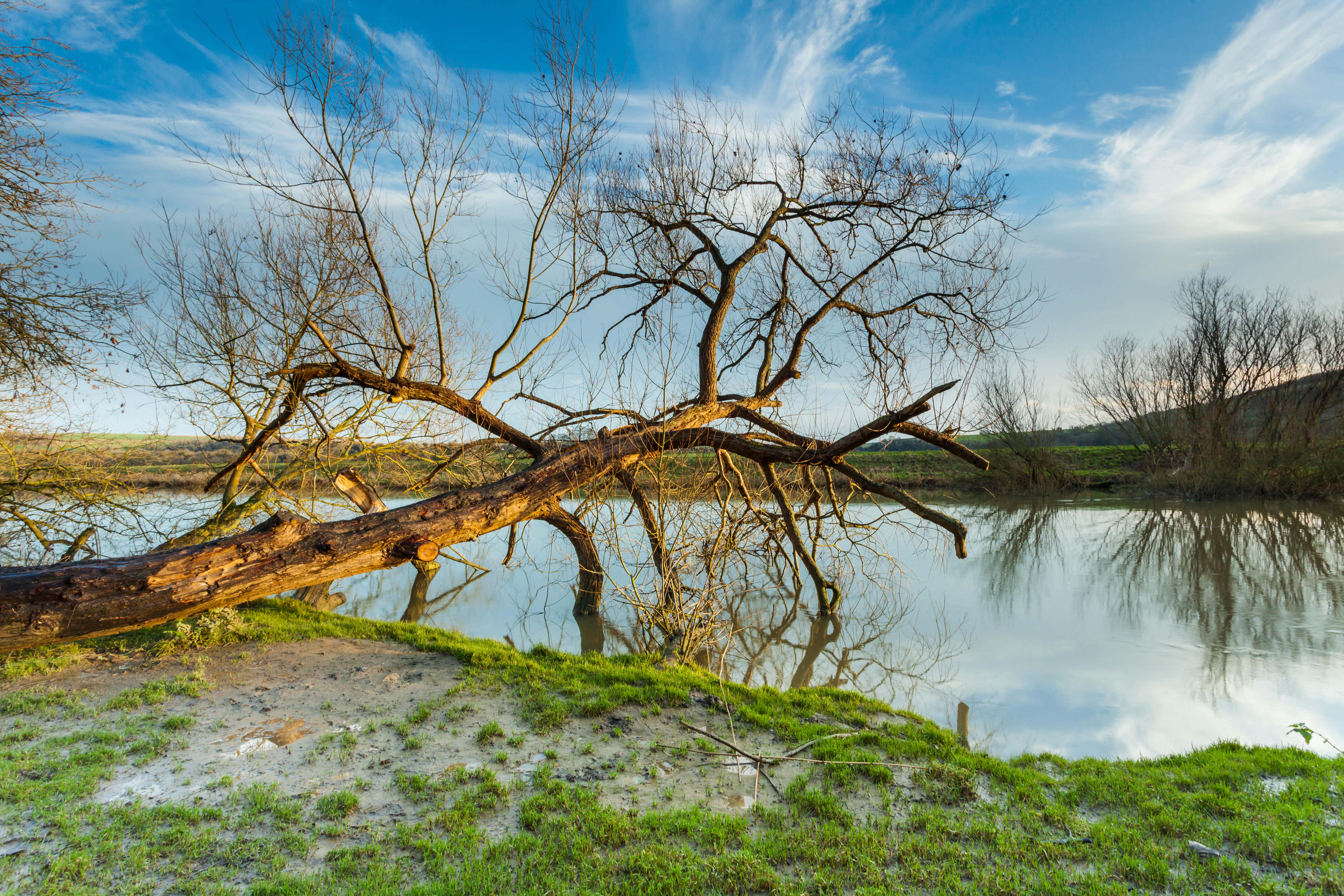 Concerns were raised about the amount of water being taken from rivers and wetlands in the Arun Valley