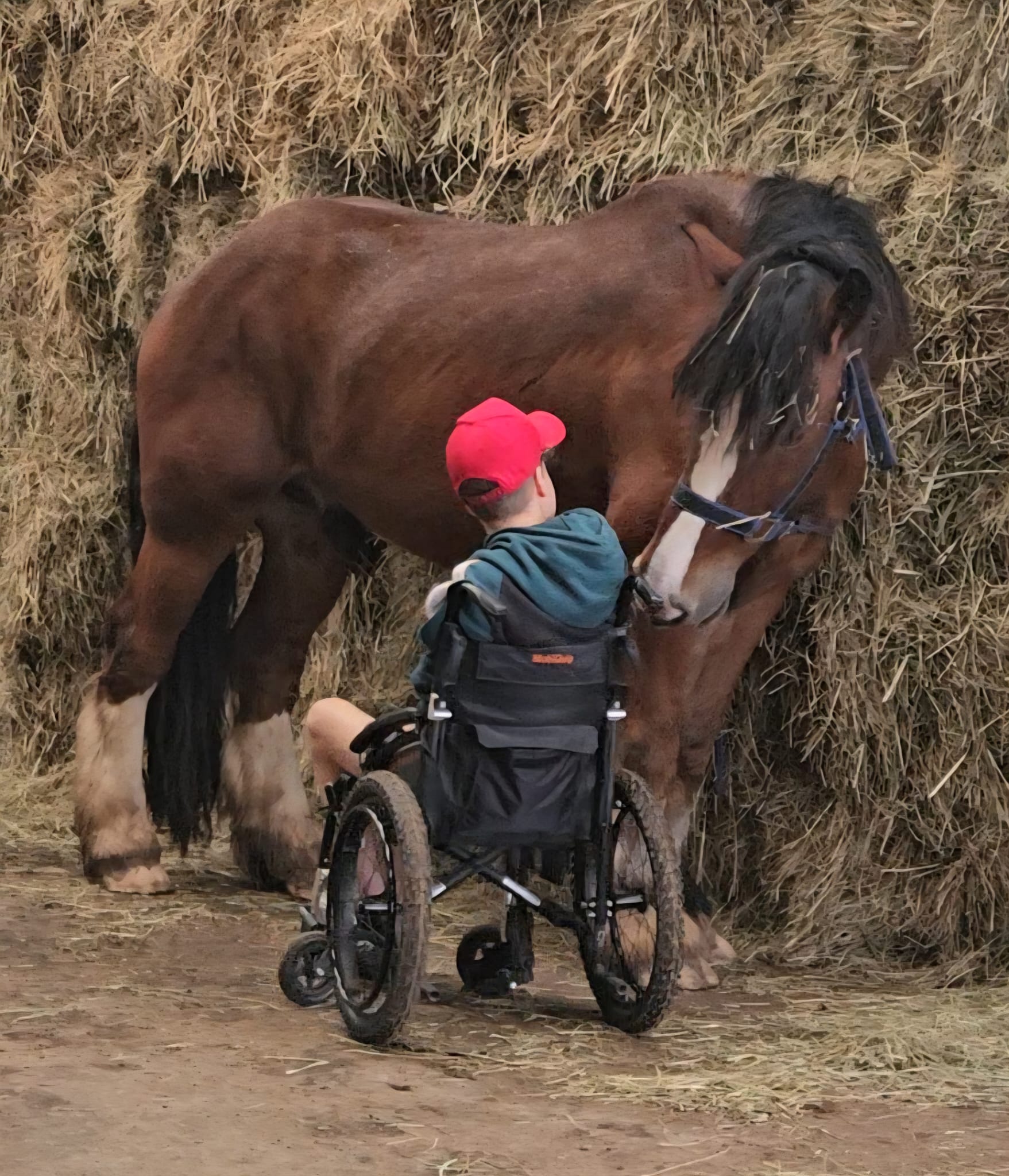 Shayne was informed he would ‘never regain the use’ of his left leg