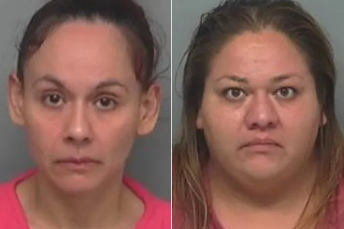 https://static.the-independent.com/2025/10/10/13/04/Brenda-Garcia-and-Tania-Garcia.png?trim=49,0,50,0&width=1200&height=800&crop=1200:800