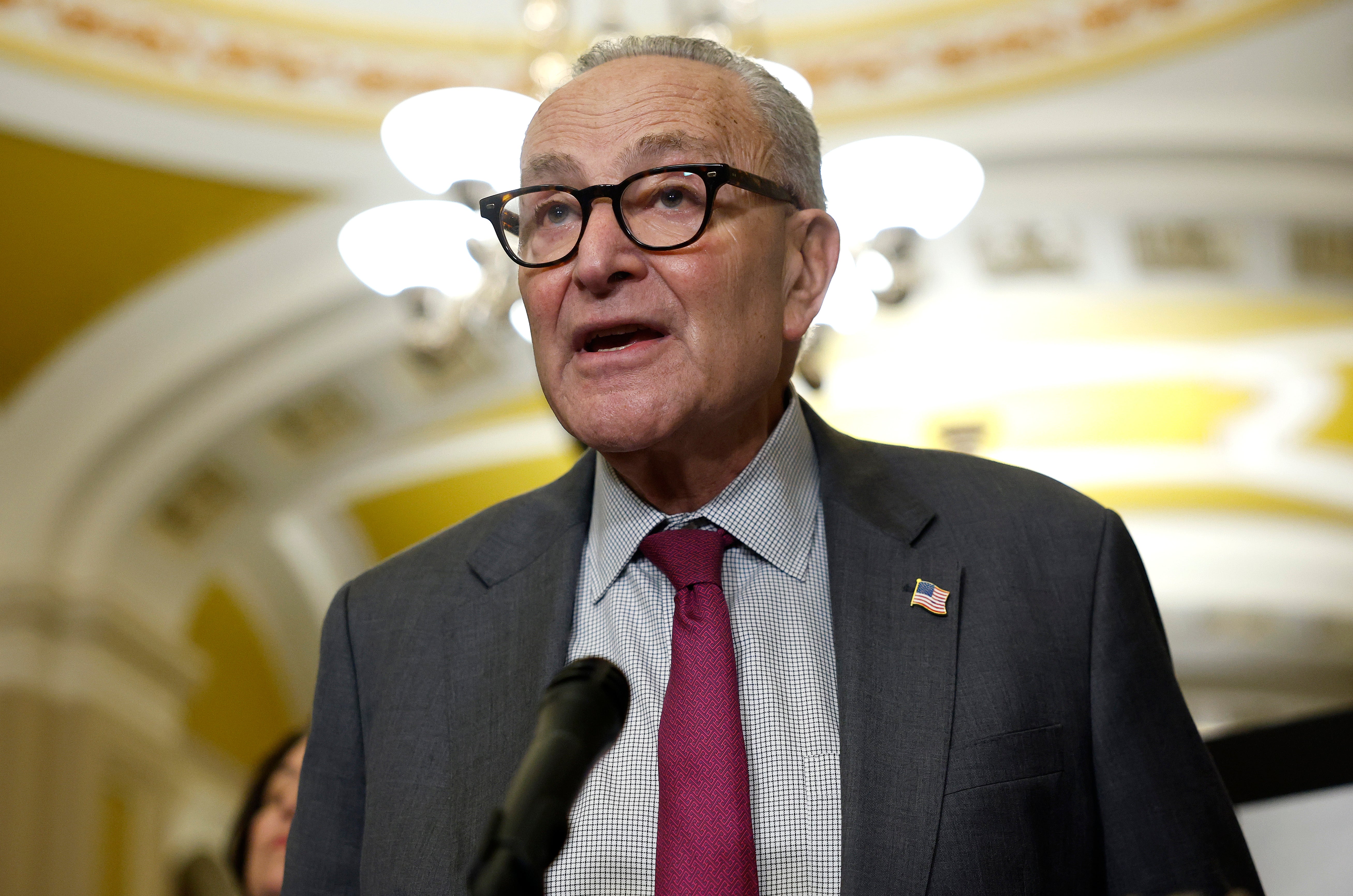 Senate Minority Leader Chuck Schumer of New York condemned Vought’s announcement, which he described as firing 'thousands of Americans with a tweet'