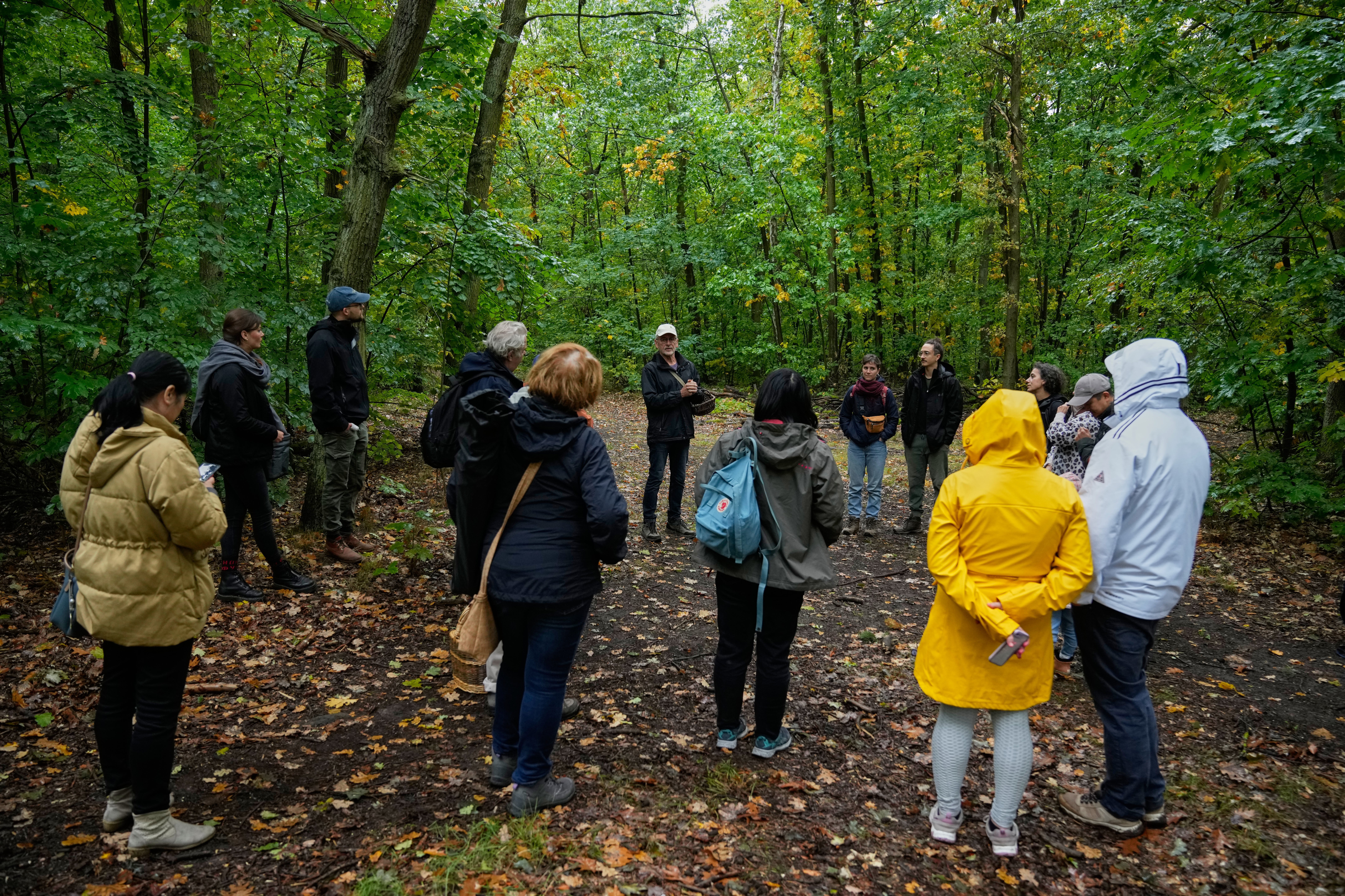 Wolfgang Bivour 75, centre, a mushroom hunting tour leader, instructs mushroom pickers on how to hunt mushrooms in a forest in Potsdam, Germany