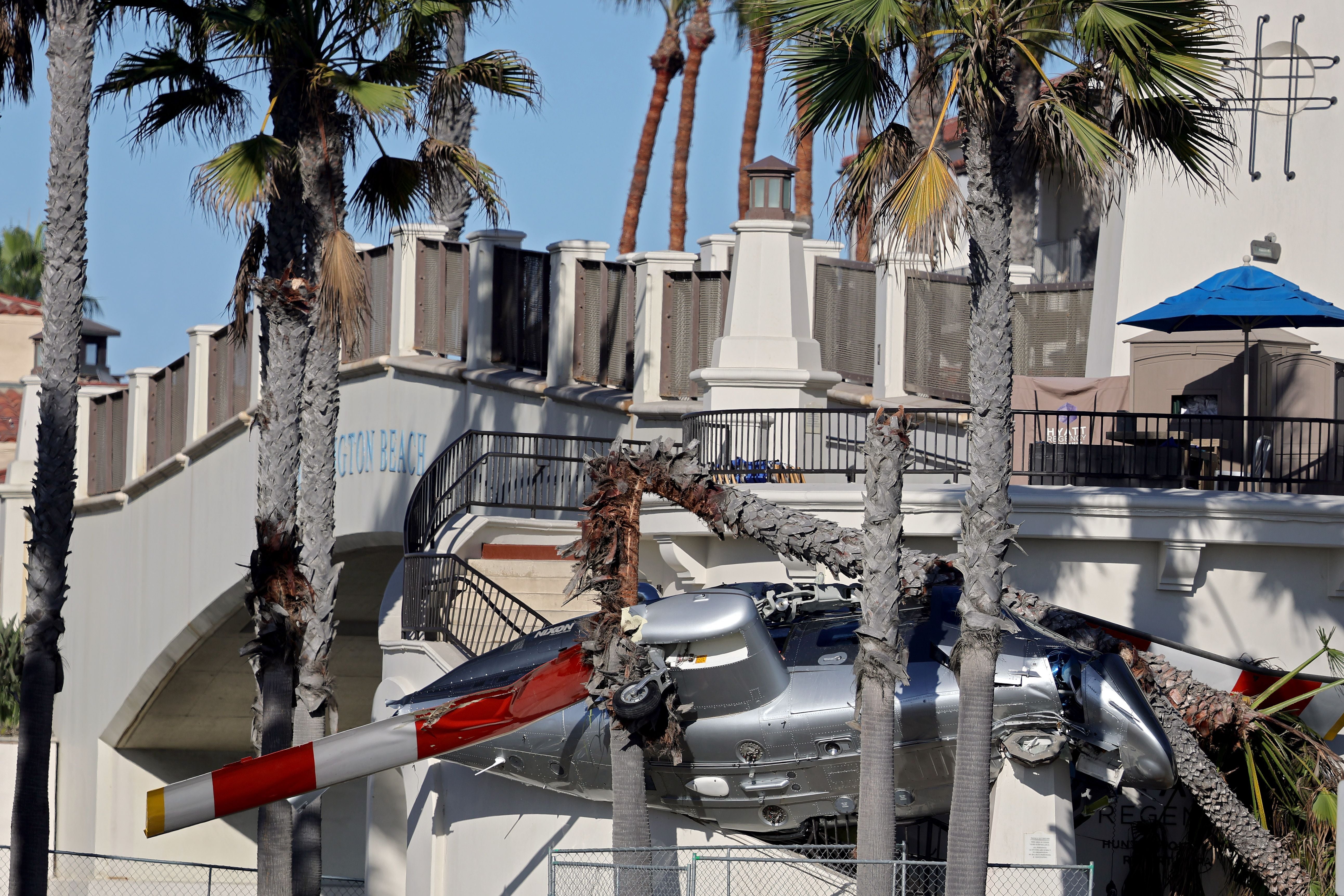 The aircraft was still nestled among the palm trees hours after the crash, according to reports
