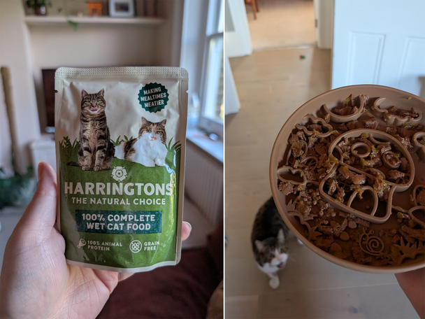 Best cat food IndyBest review Harrington’s wet adult cat food in jelly