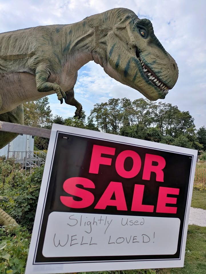 The dinosaurs are being sold as the amusement park closes and is set to become a nonprofit