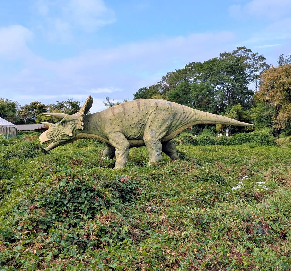 The dinosaurs for sale range in price from $700 to as high as $2,800