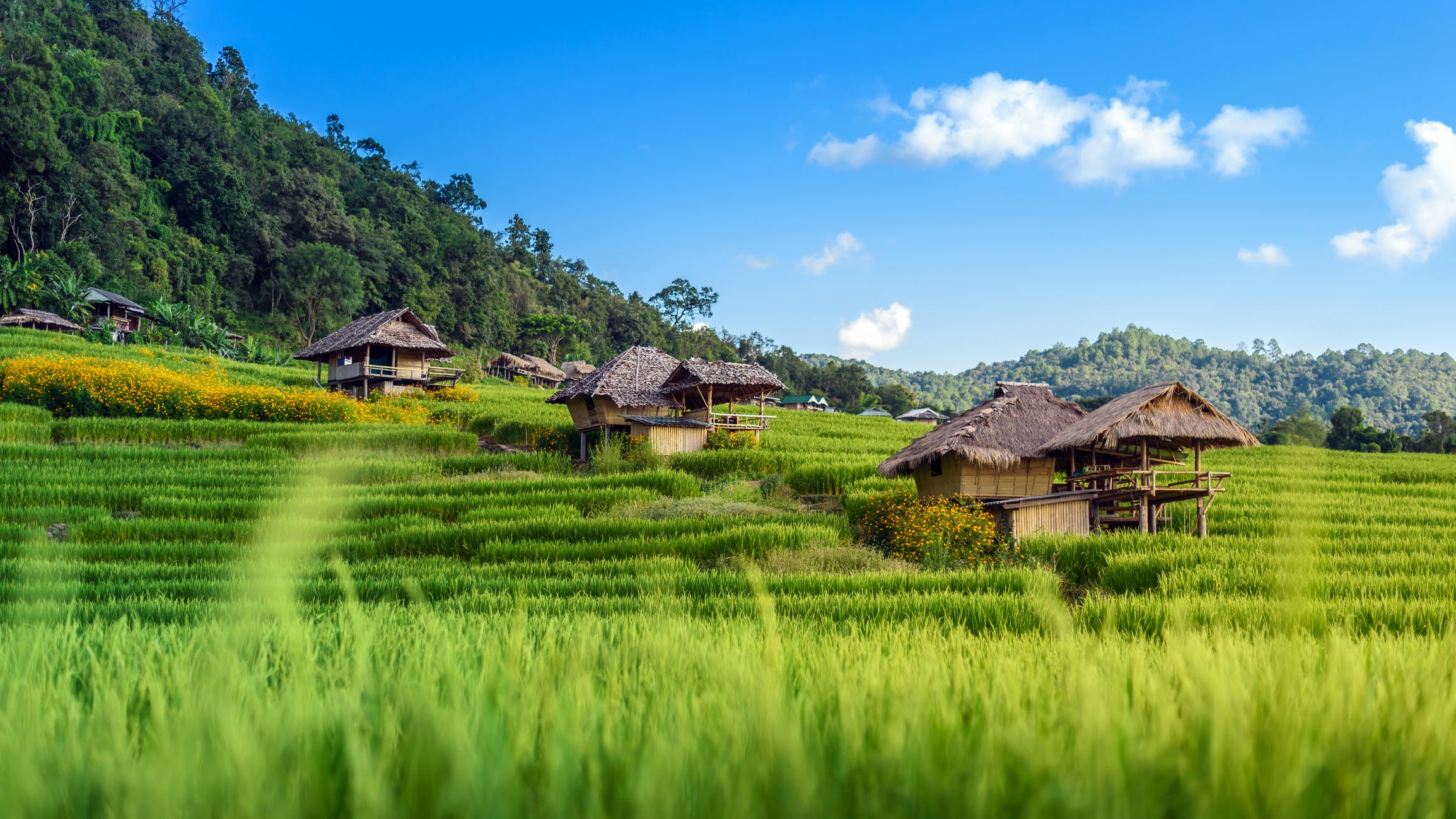 Travellers should be careful when posting images of people drinking alcohol