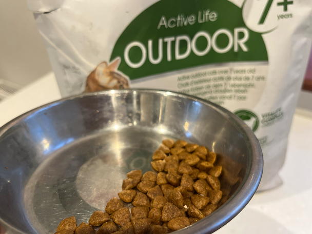 Best cat food IndyBest review Royal Canin 7 plus outdoor