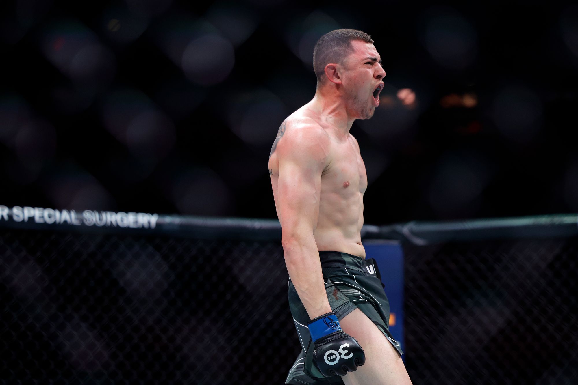 Ufc peří váha Steve Garcia