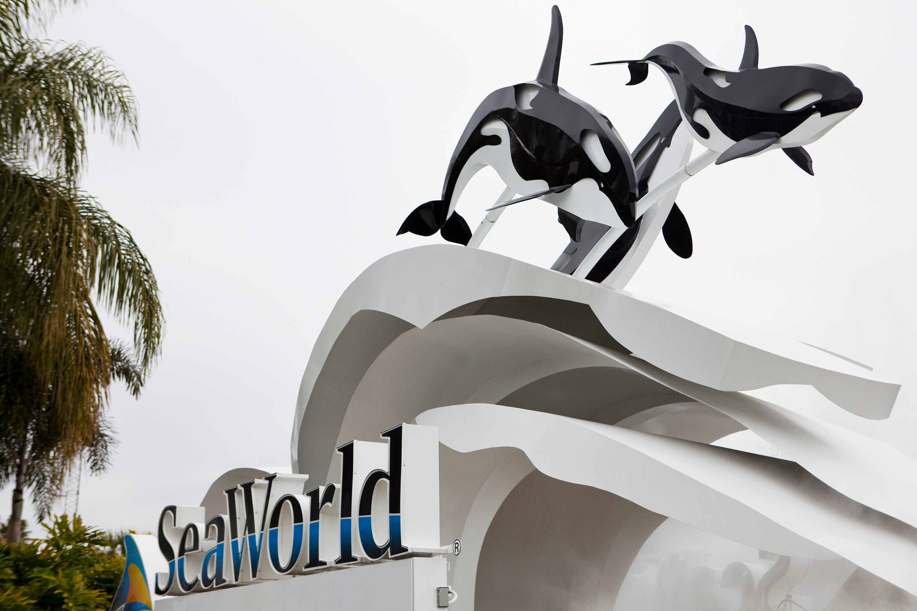 SeaWorld fans who use rollator walkers expressed outrage over the change in policy, with some even saying they contacted the Department of Justice to complain.
