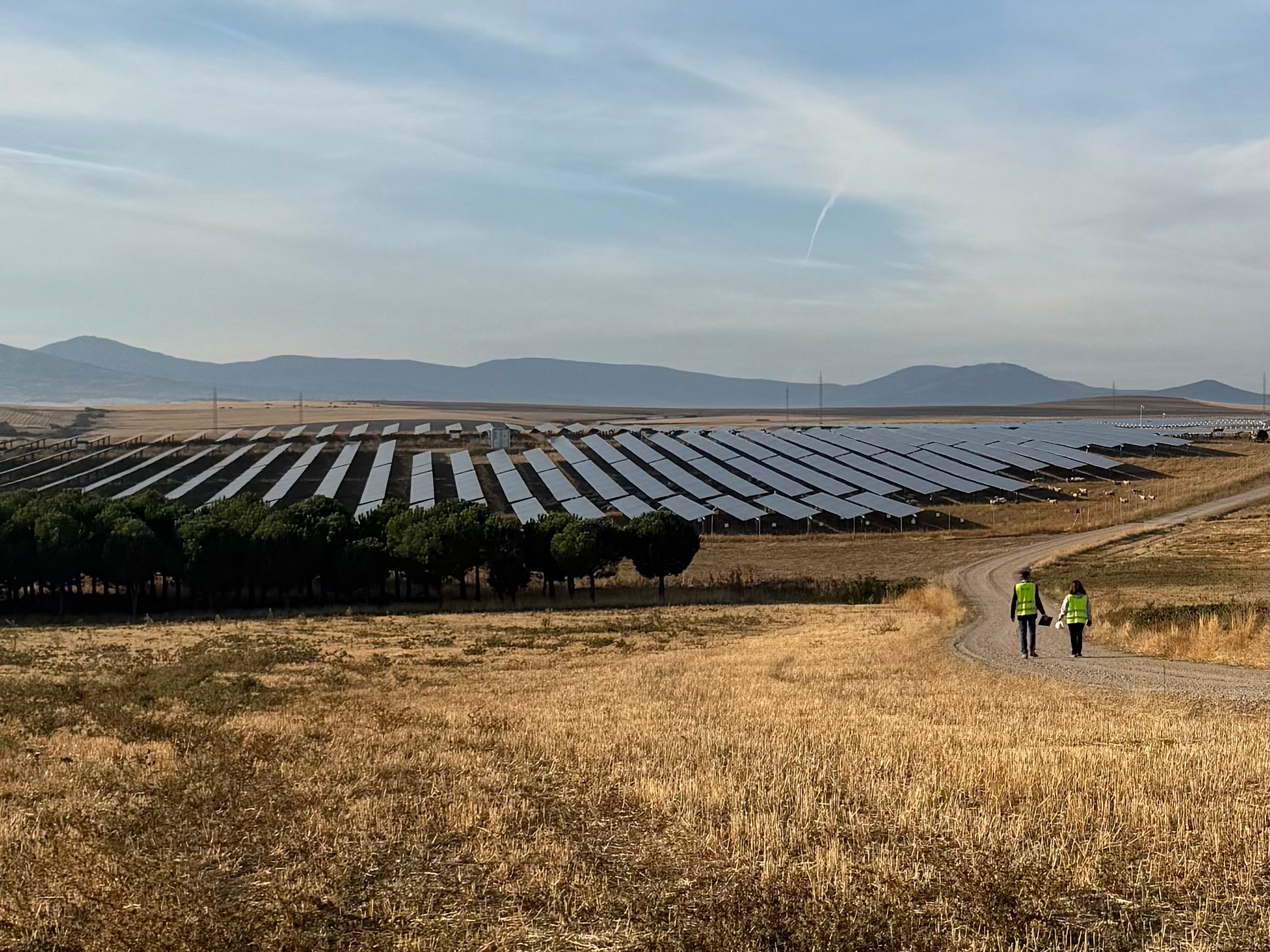 A view of solar panels at the 131MW solar farm developed by ib vogt in Segovia, Spain. (Rebecca Speare-Cole/PA)