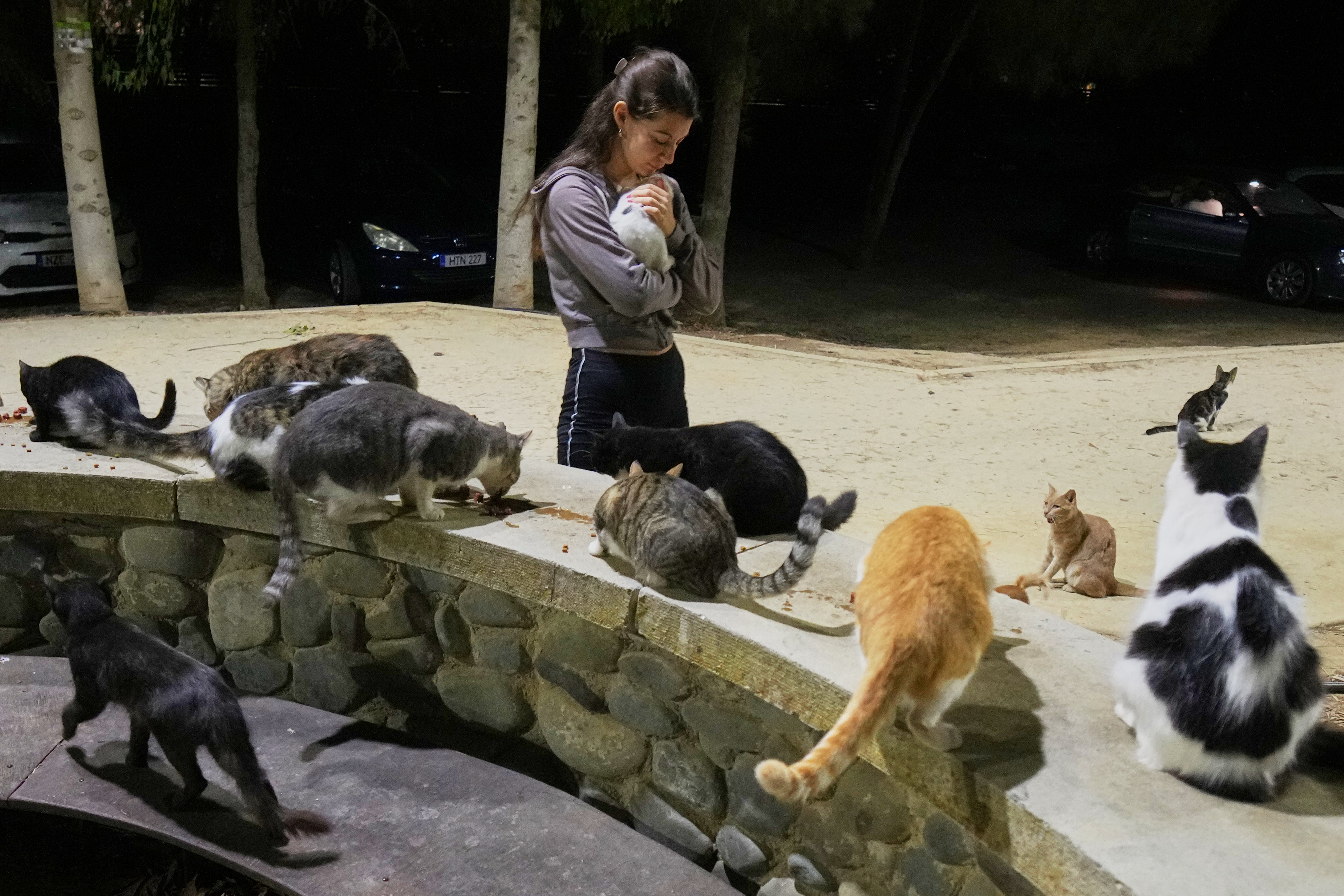 A woman holds a cat at a park in Strovolos area of capital Nicosia, Cyprus, Oct. 6 2025. (AP Photo/Petros Karadjias)