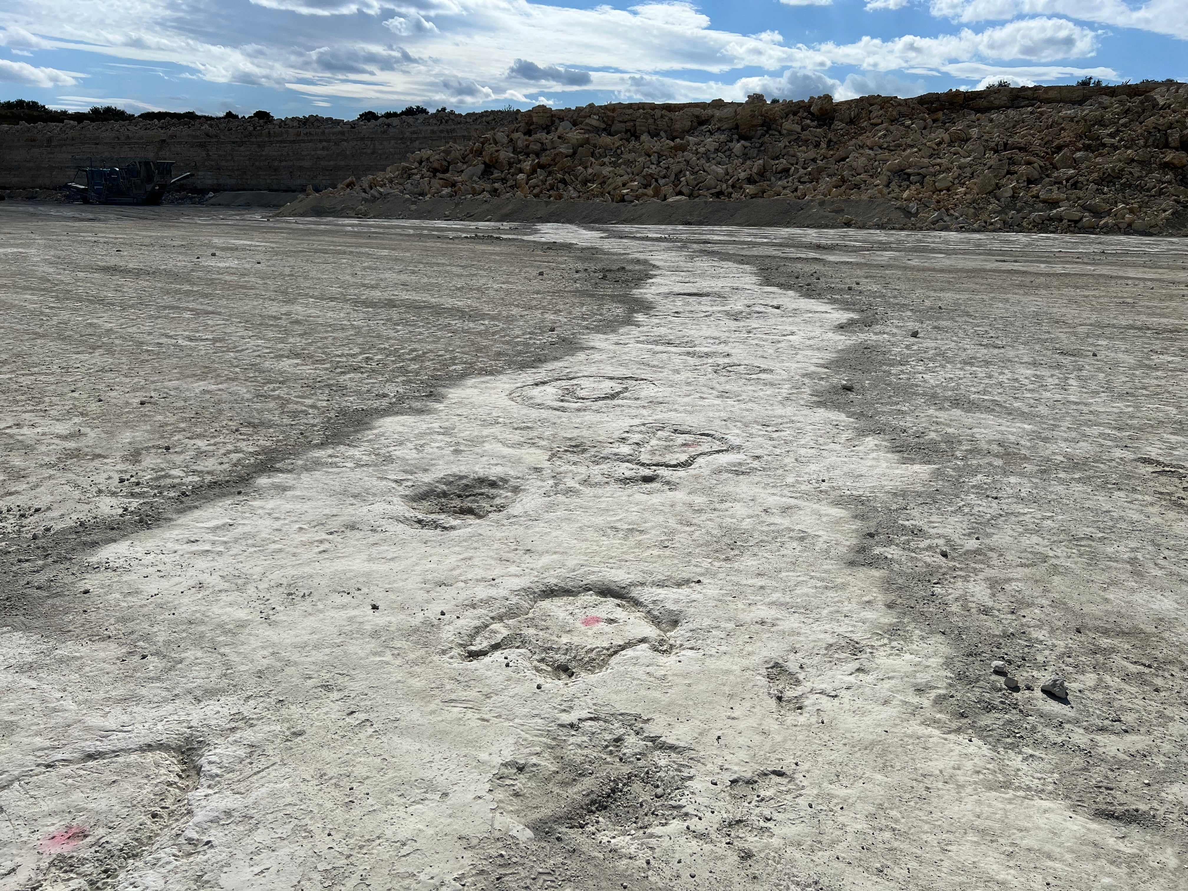 The 220-metre ‘dinosaur highway’ discovered in Oxfordshire