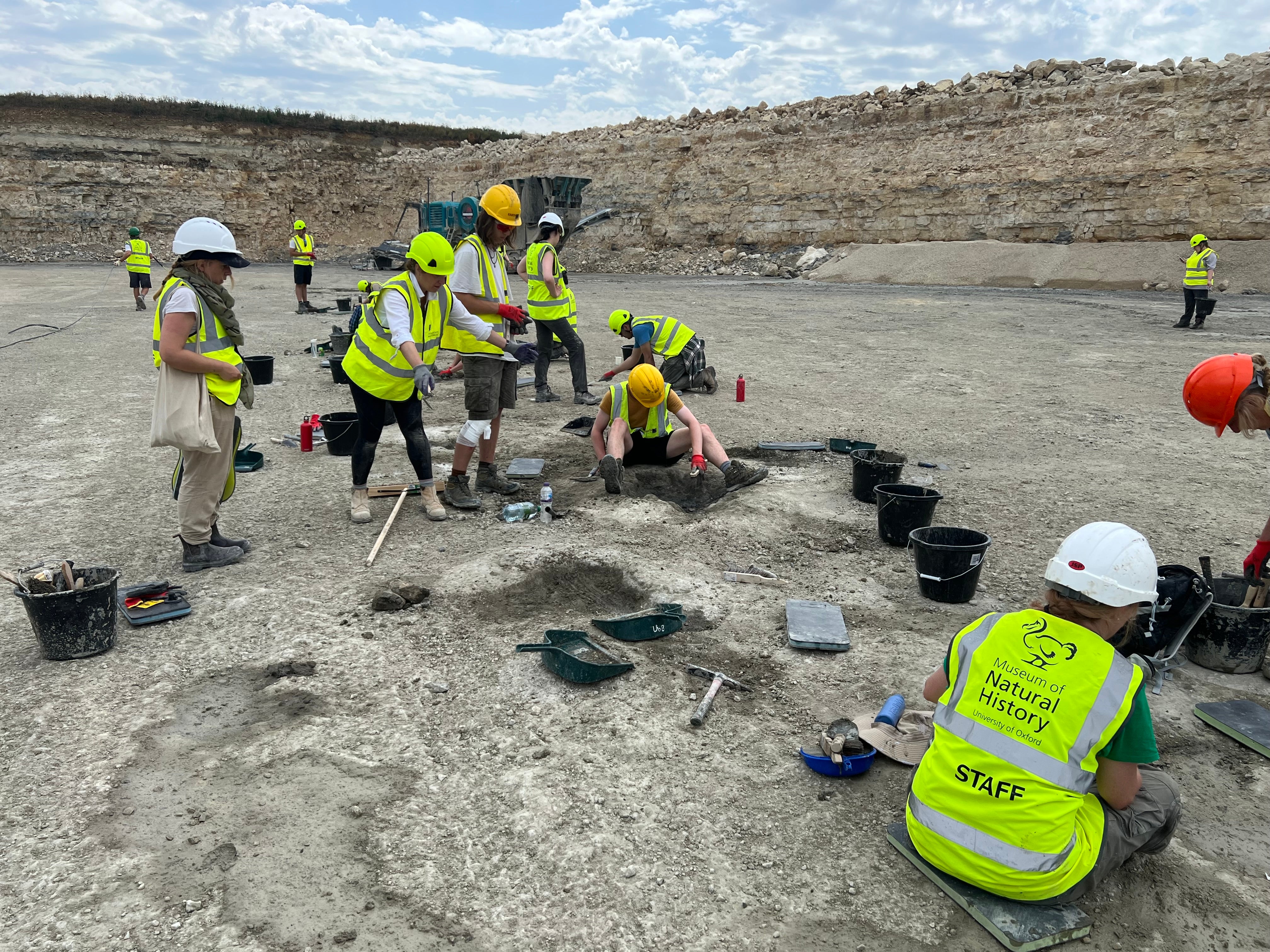 Researchers from the Oxford University Museum of Natural History and the University of Birmingham uncover sauropod footprints in Oxfordshire