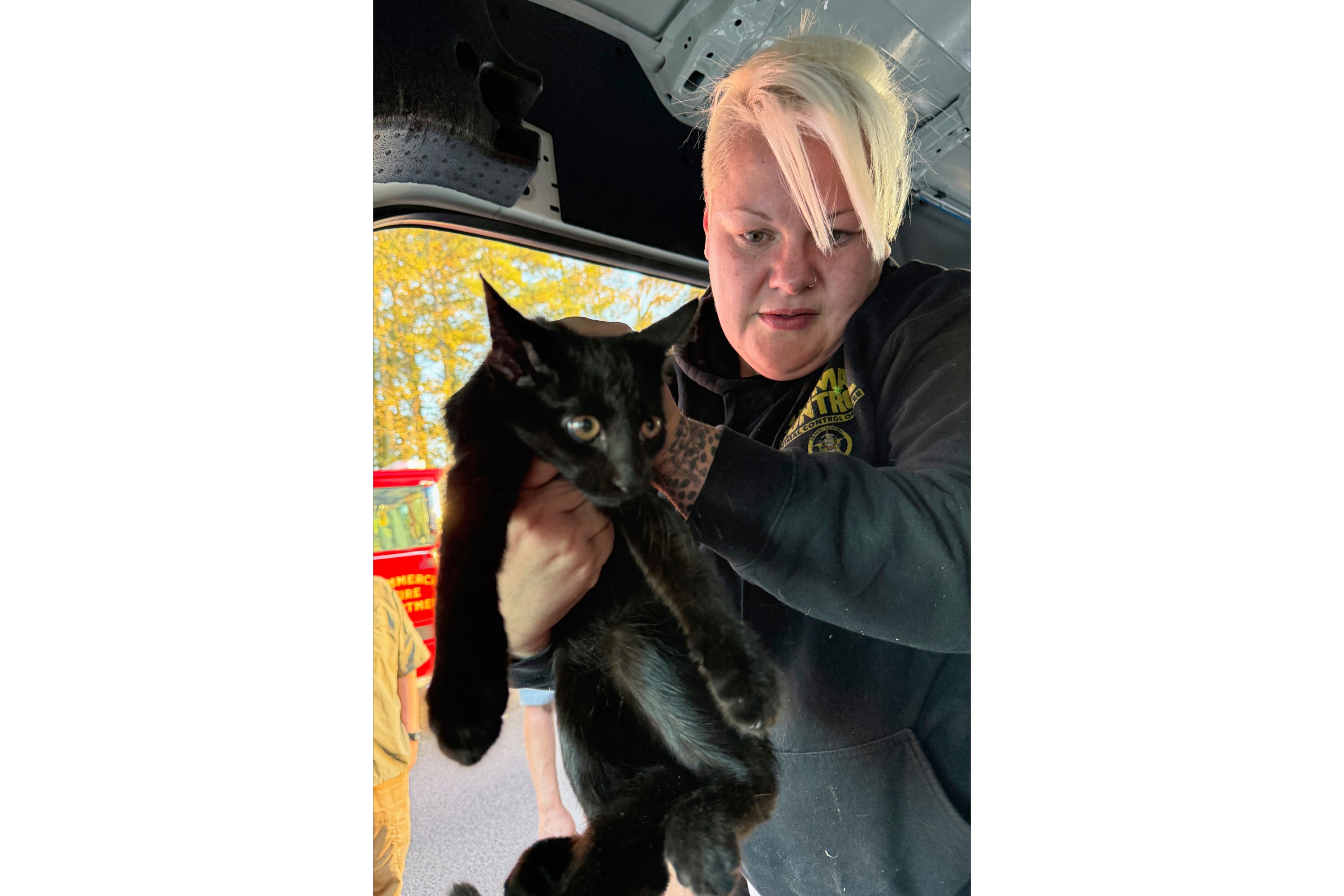 Georgia Crash Walden