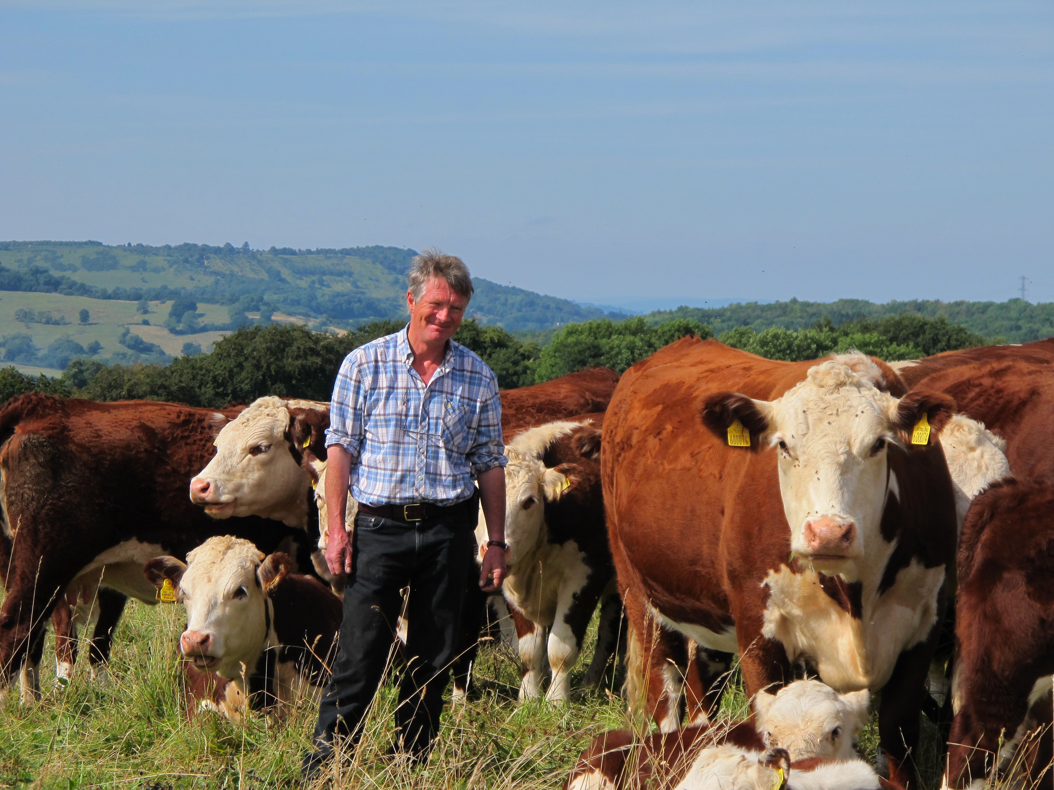 Ian Boyd with pasture fed organic pedigree Herefords - Whittington Lodge Farm