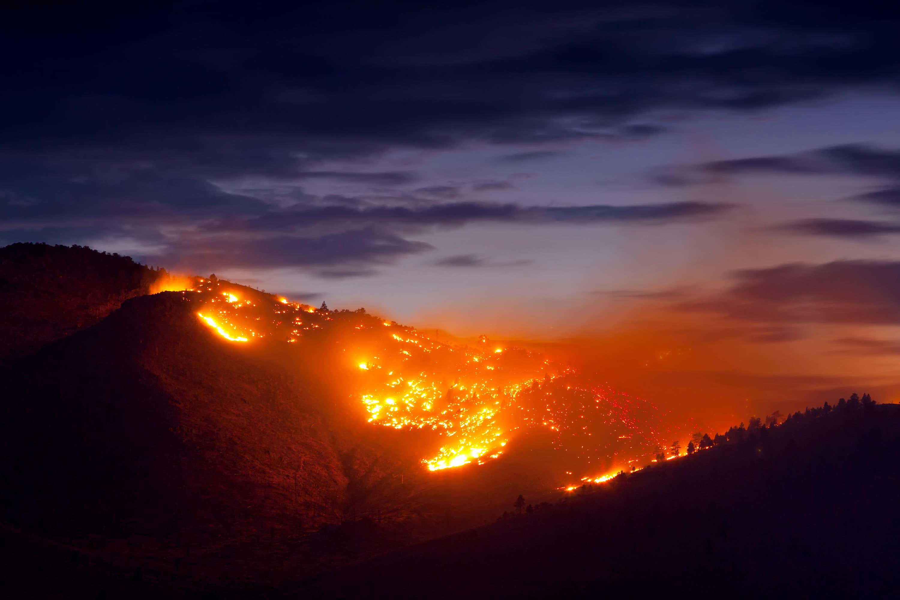 Carbon dioxide levels in the atmosphere jumped to new highs due to human activity and wildfires (Alamy/PA)