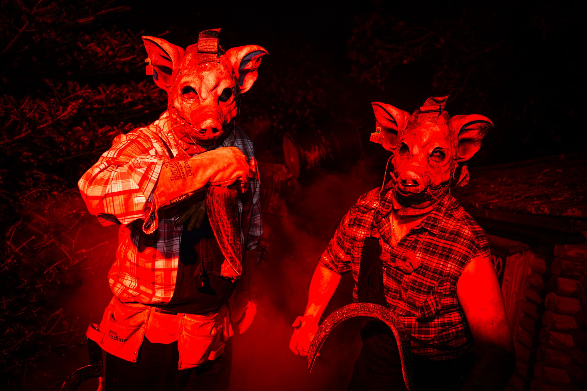 Escape the feral pigs at the Bad Barnyard