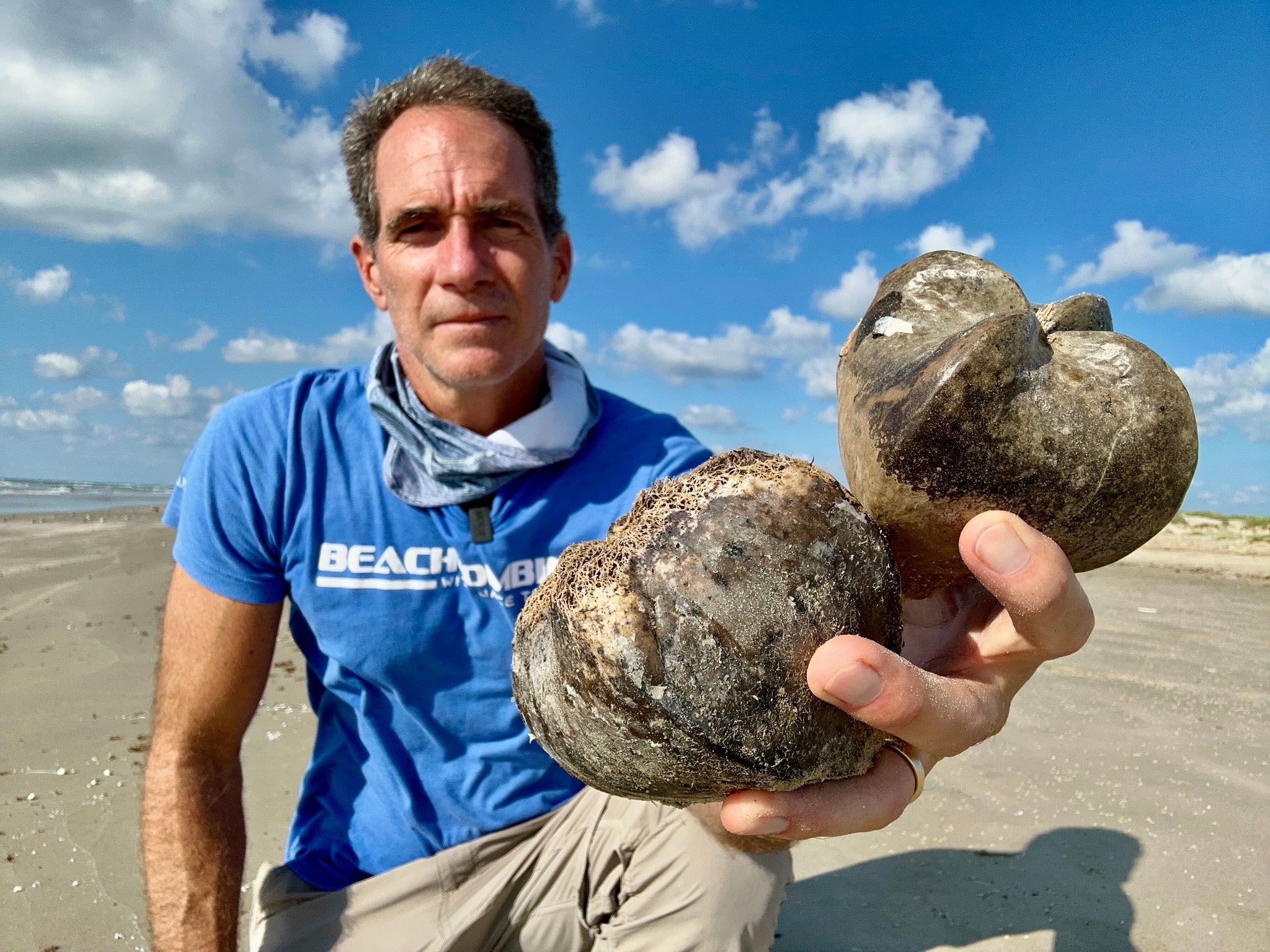 Jace Tunnell, the director of community engagement at the Harte Research Institute for Gulf of Mexico Studies, holds two box fruit that washed ashore on a Texas beach this week.