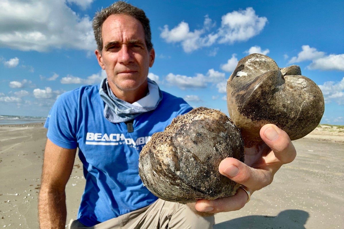 Highly poisonous fruits blobs are washing up on Texas beaches after traveling thousands of miles