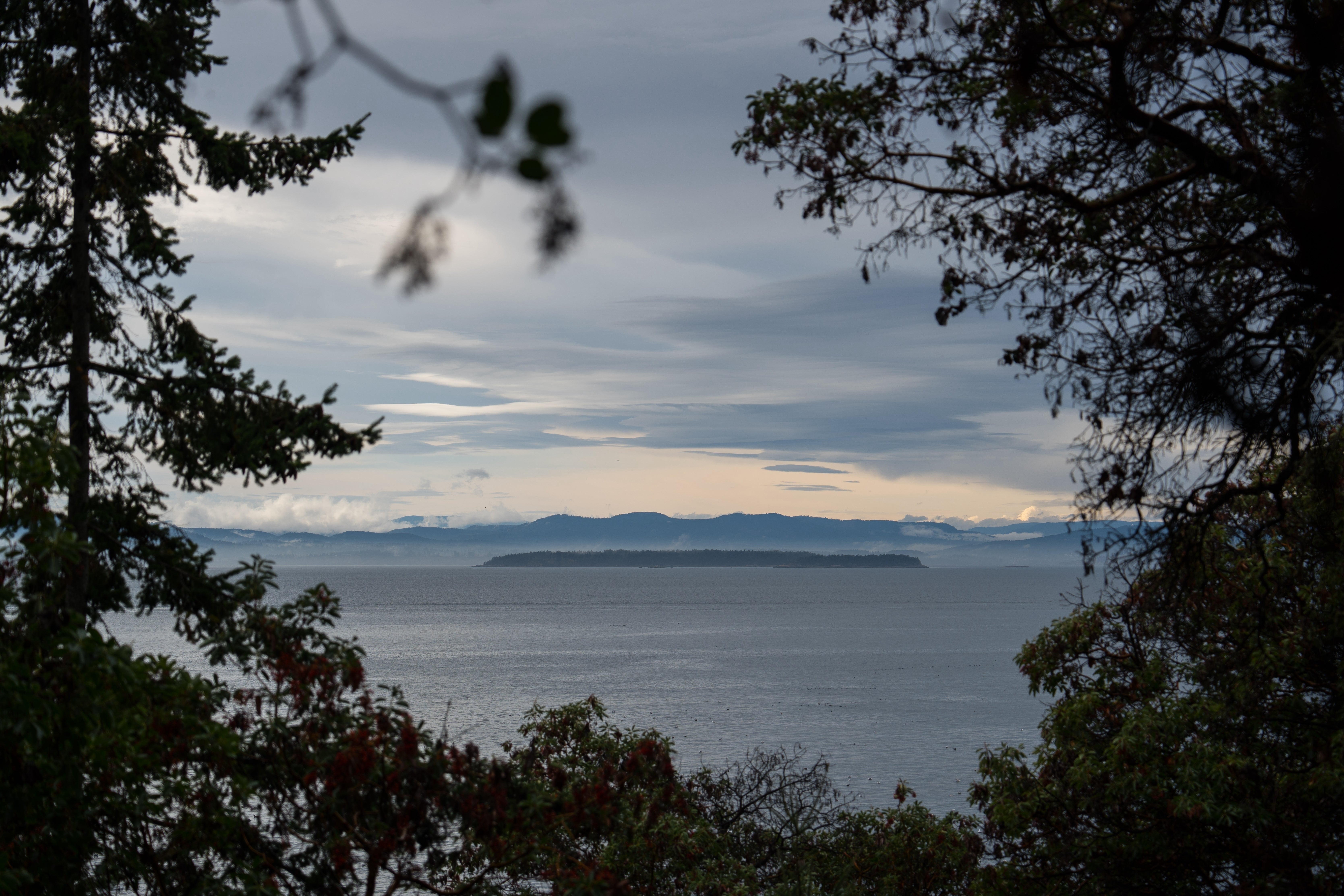 The Salish Sea, home to some 75 endangered Southern Resident orcas, is visible from San Juan Island, Wash., Friday.