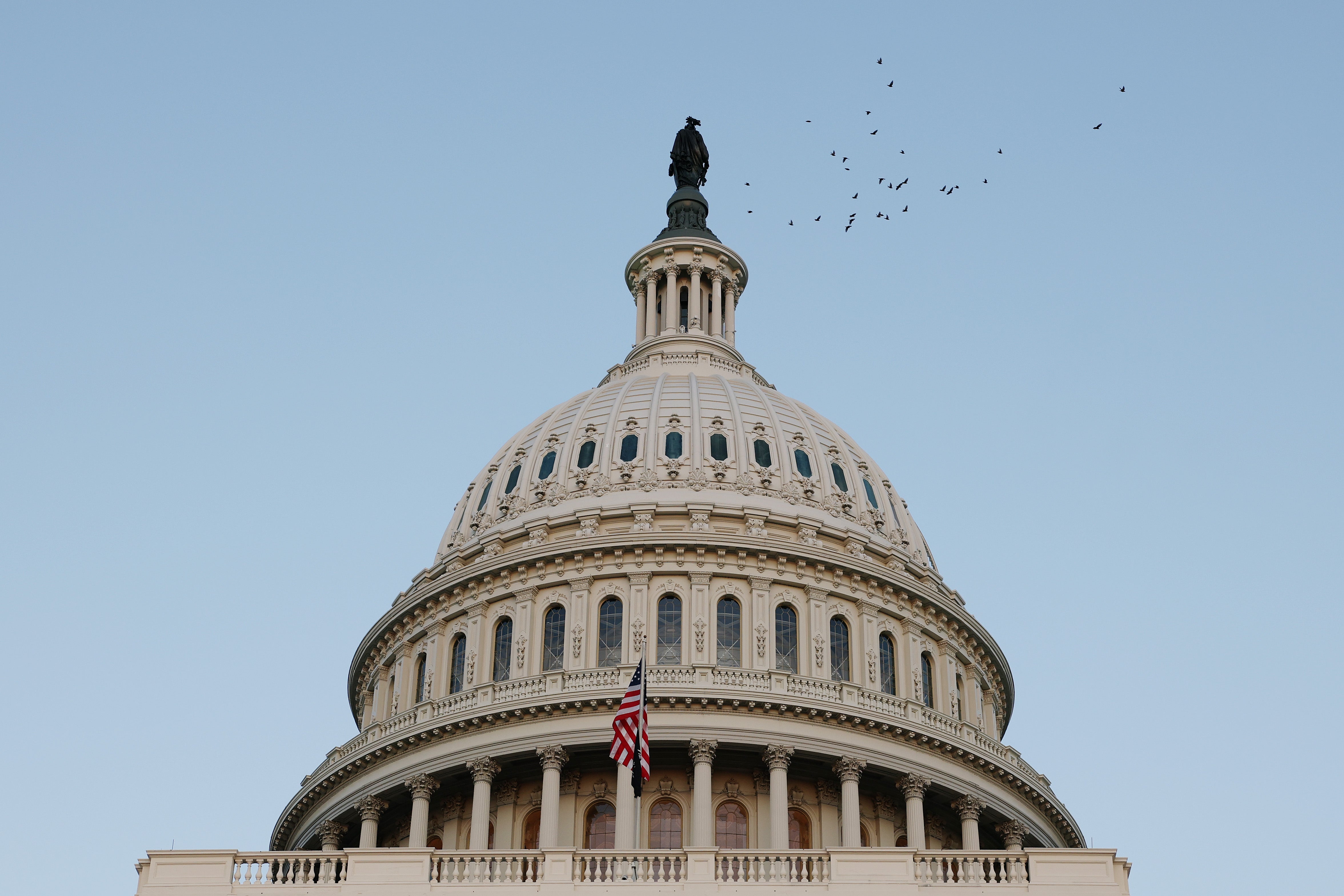 The Capitol police was called after a swastika flag was seen on a congressional staffer’s wall during a virtual call