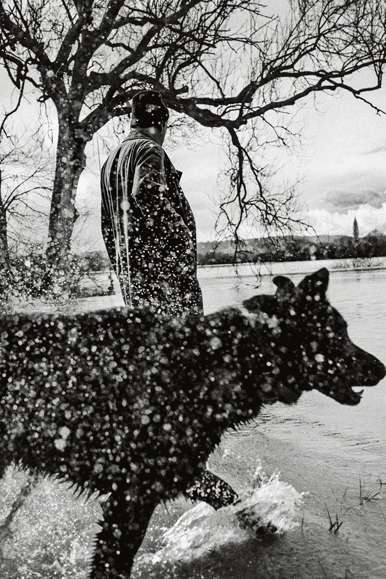 David Gilmour and dog Wesley out on a rain-soaked walk