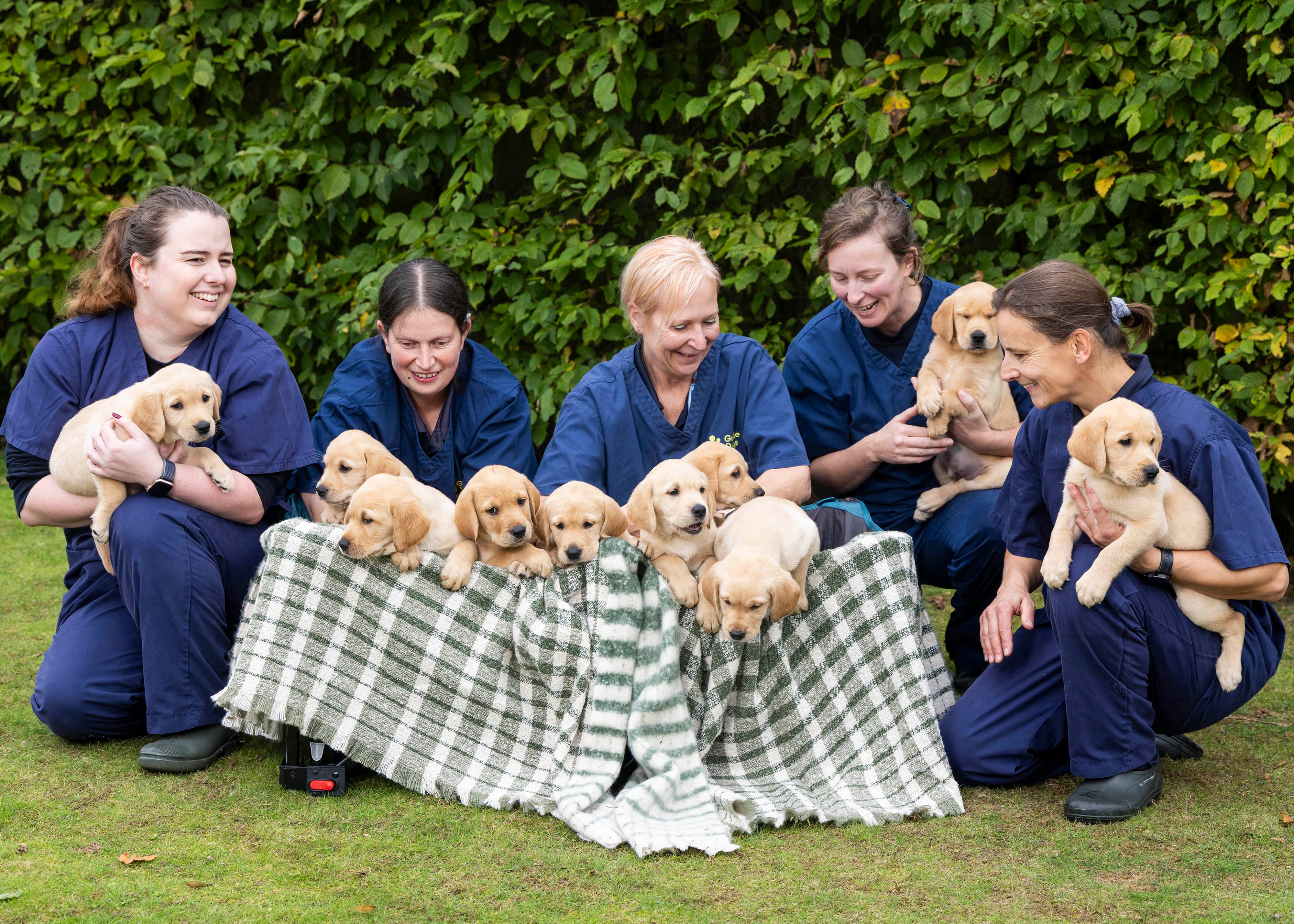 The charity gave the puppies bakery-themed names