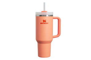 Stanley quencher H2.0 flowsate tumbler
