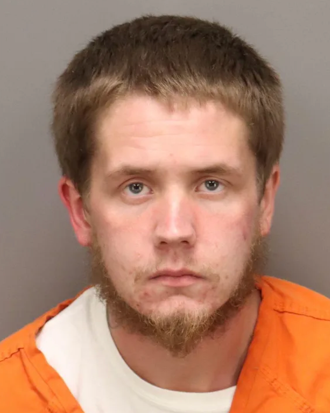 Joshua Neal Garrison, 23, was captured on surveillance video as he wandered through the neighborhood naked, erratically swinging an axe