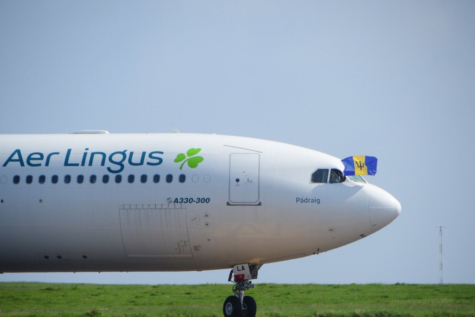 The Aer Lingus plane made an emergency landing in Manchester (file image)