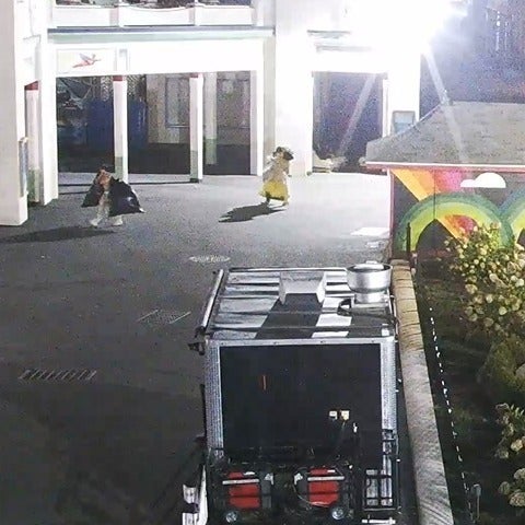 Police say the trio hauled away garbage bags filled with 200 stolen stuffed animals