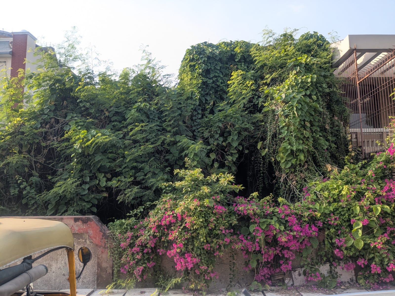 House number D5 in Nithari, Uttar Pradesh, where the remains of children and women were recovered two decades ago