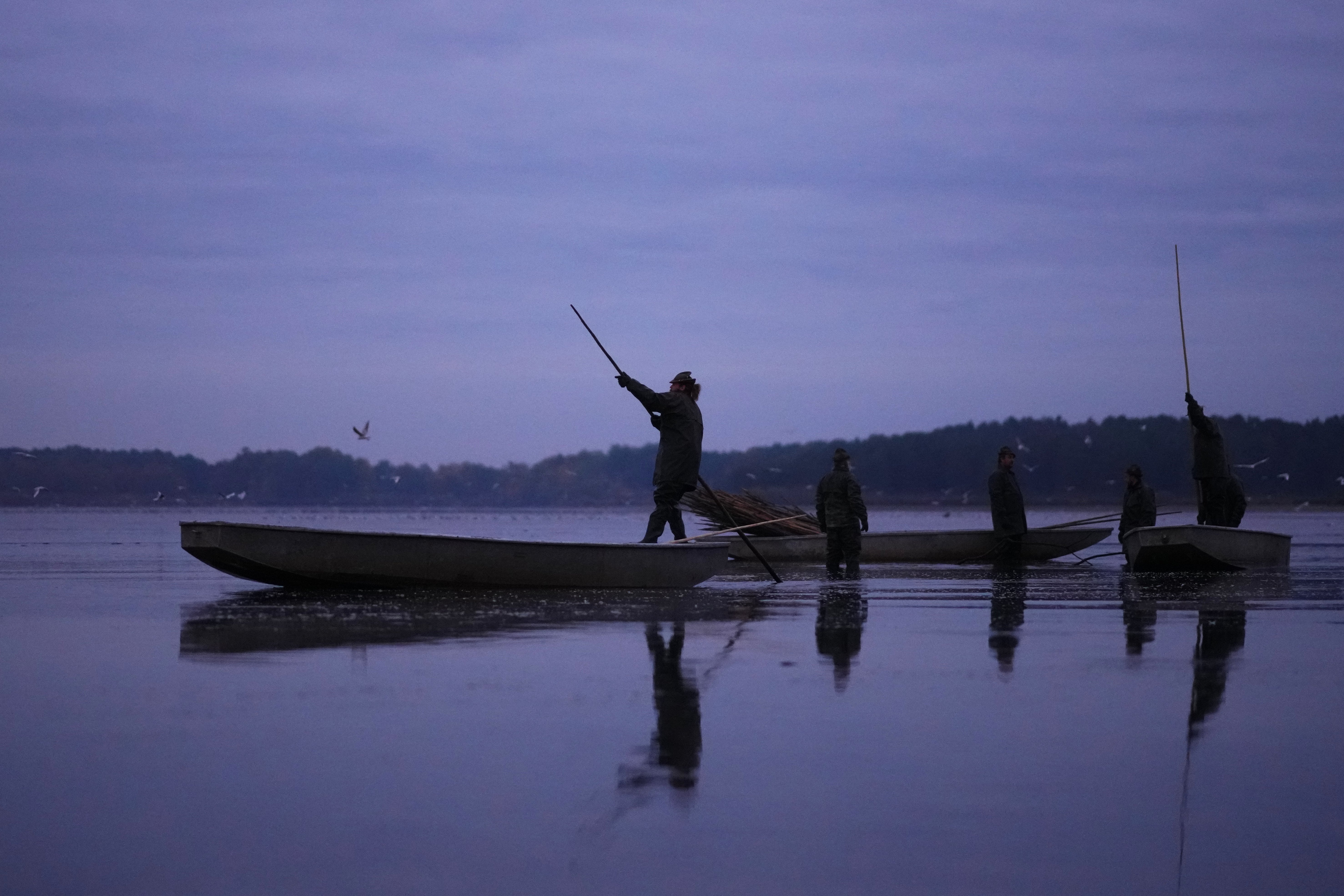 Czech Carp Photo Gallery