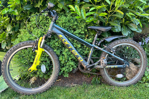 Carrera blast junior mountain bike