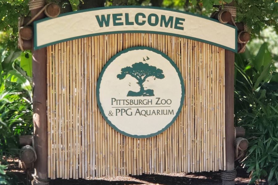 Pittsburgh Zoo officials said Noah Thomas’ alleged stunt of entering an elephant enclosure, endangered himself, visitors and the animal.