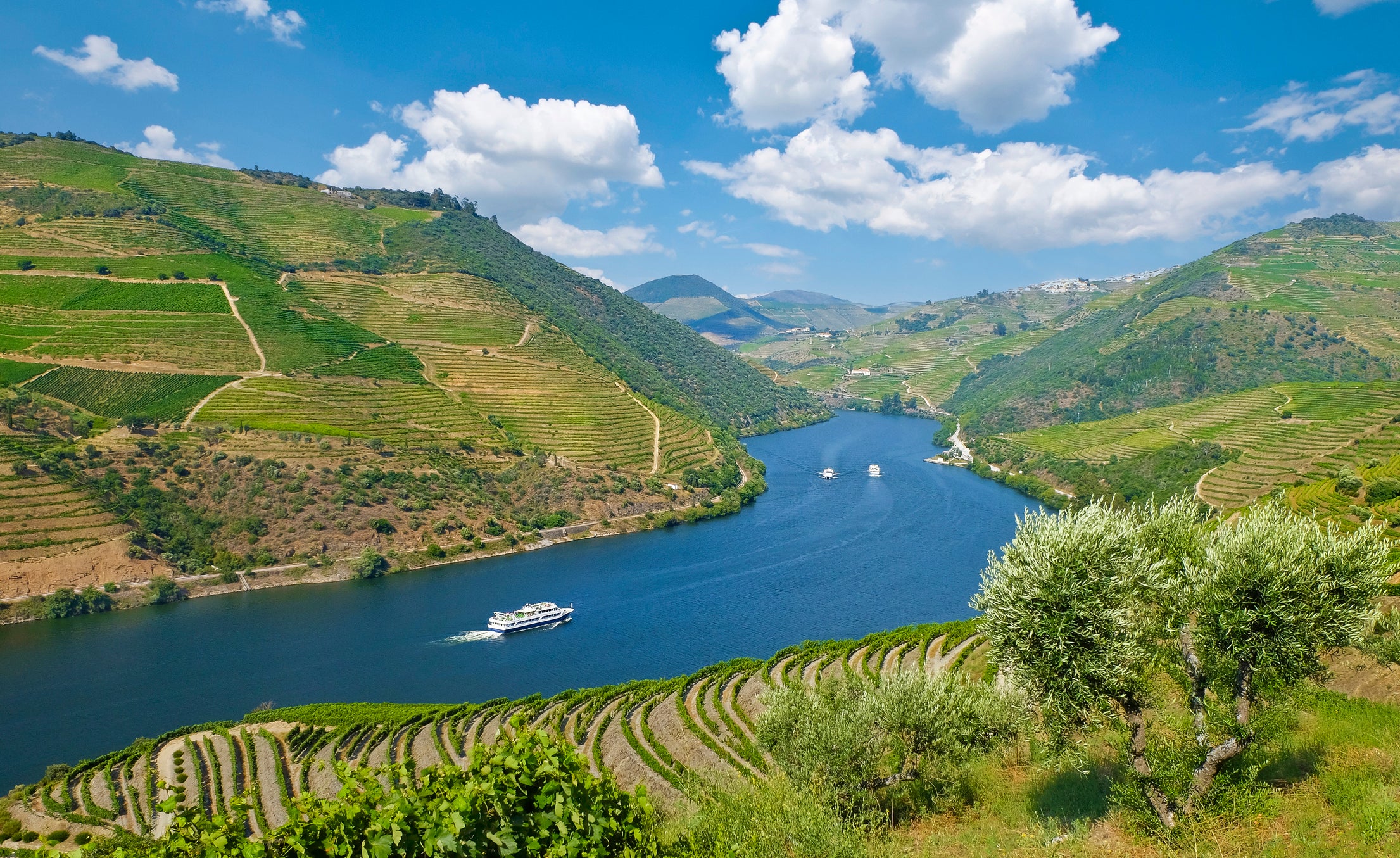 The Douro Valley is a stunning natural wonder sculpted by the Douro River