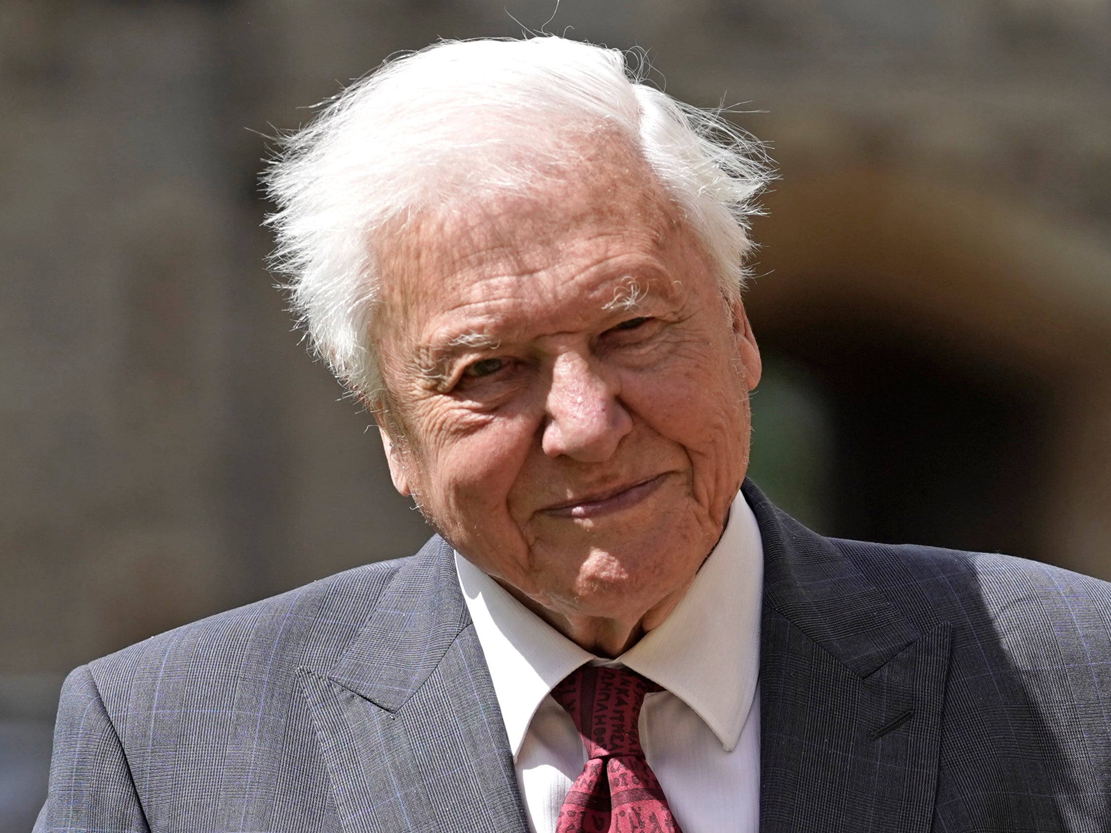 David Attenborough won a Daytime Emmy, aged 99