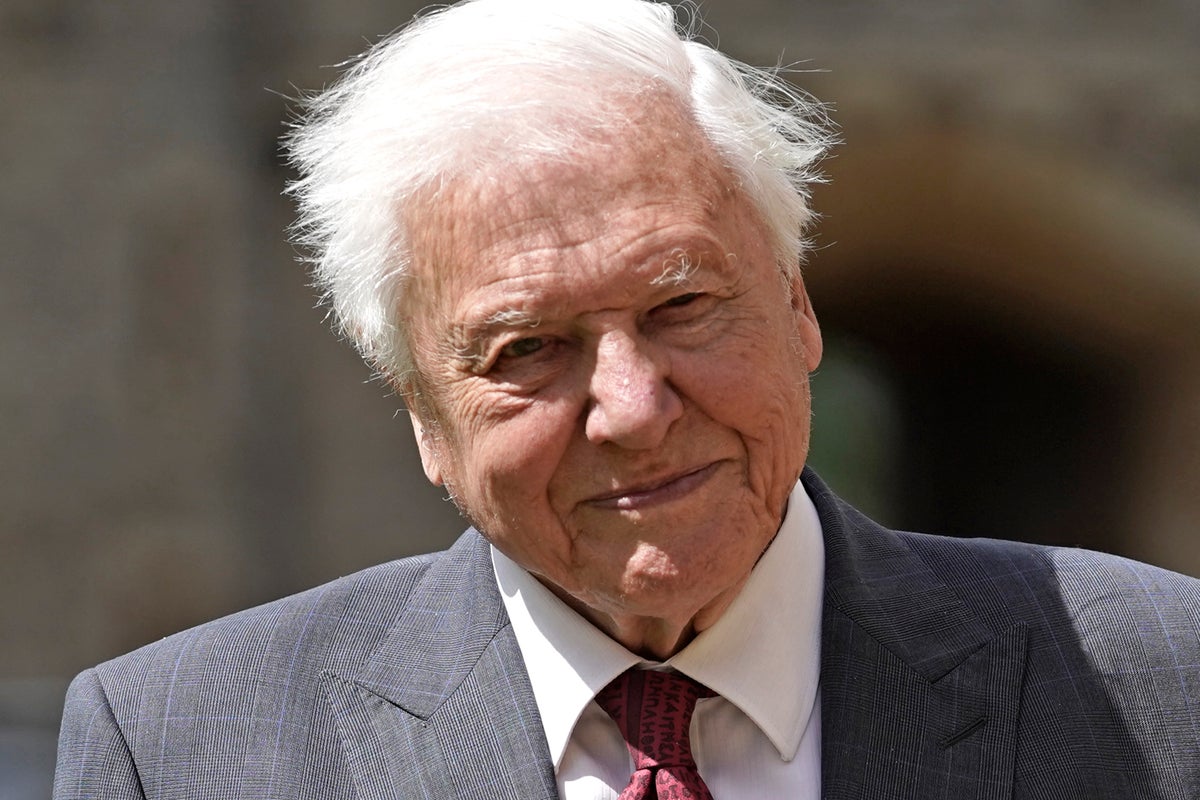 Sir David Attenborough’s 100th birthday to be marked by star-studded live BBC event at Royal Albert Hall
