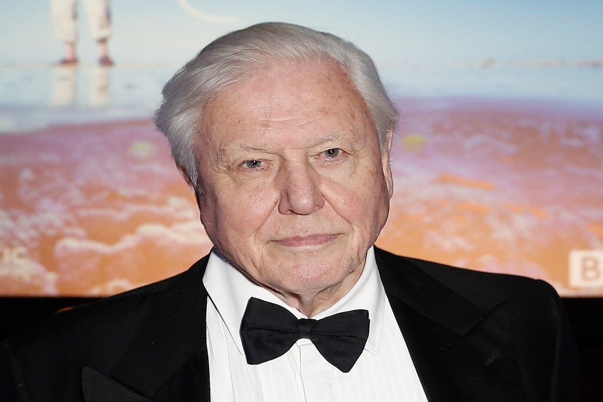 David Attenborough Emmys Historic Win At 97 Daytime Emmy Awards 2024 David Attenborough Emmys Historic Win At 97 Daytime Emmy Awards 2024