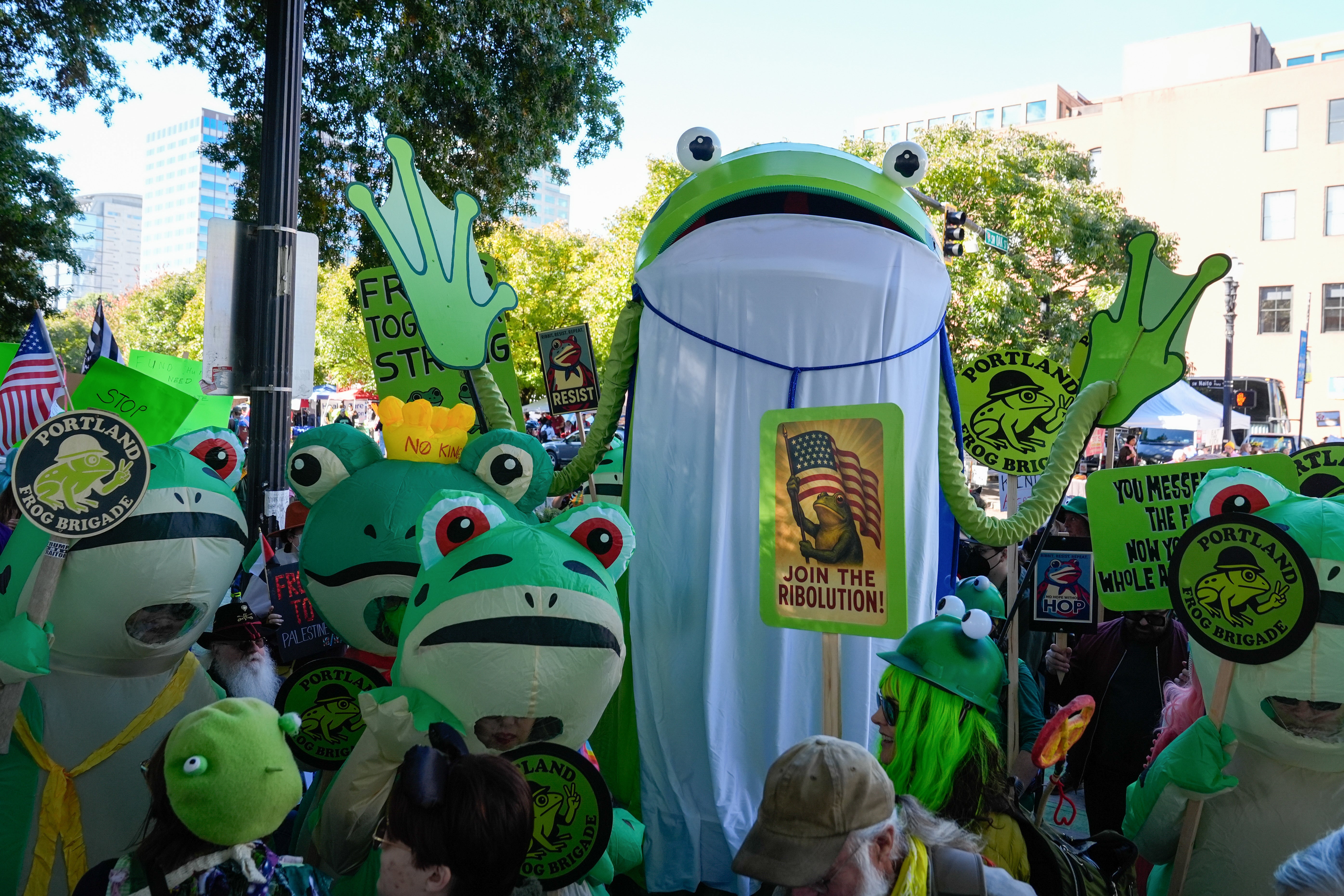 Websites have appeared online which allow protestors to provide frog outfits for others to wear at the rallies