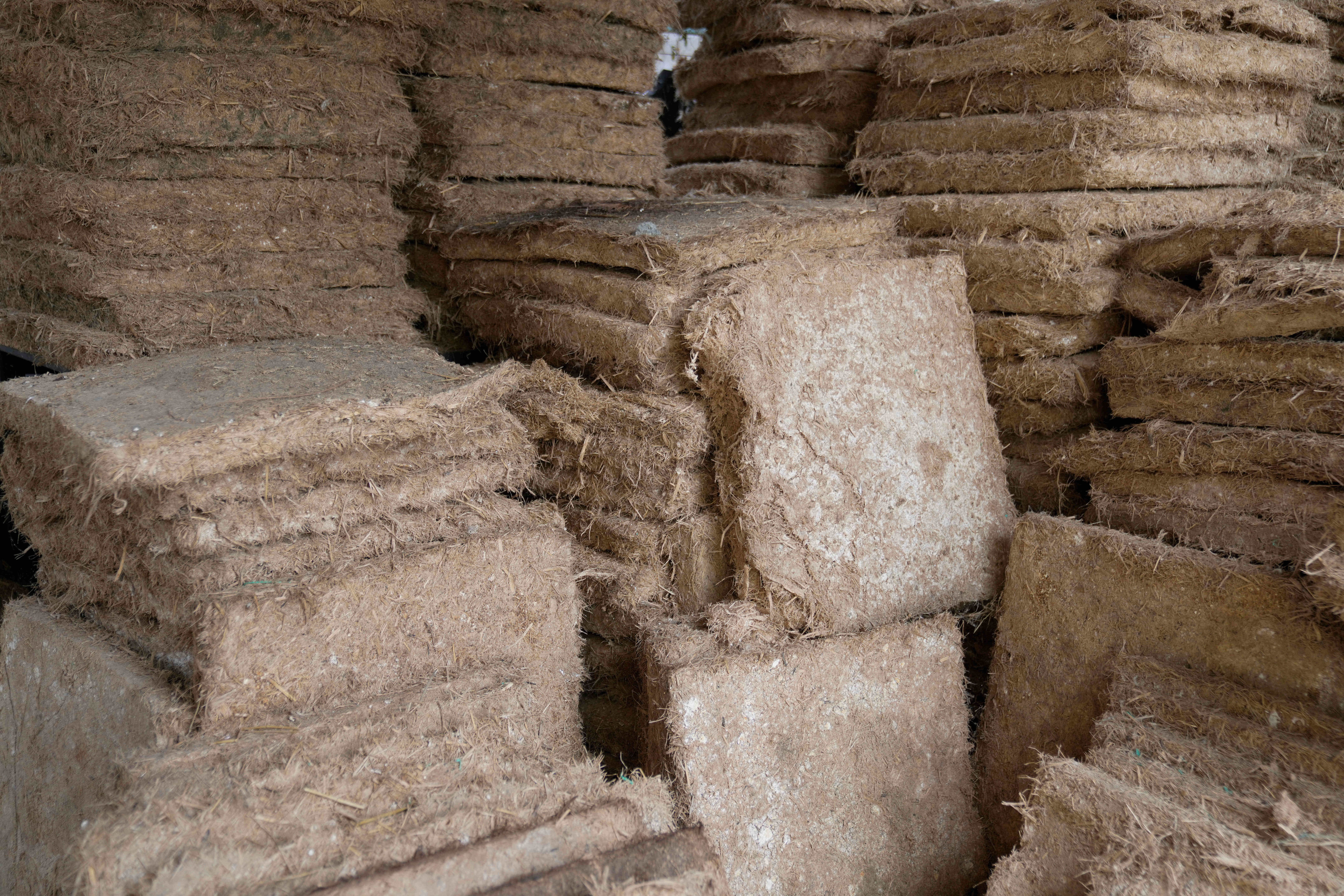Kenya Mushroom Homes
