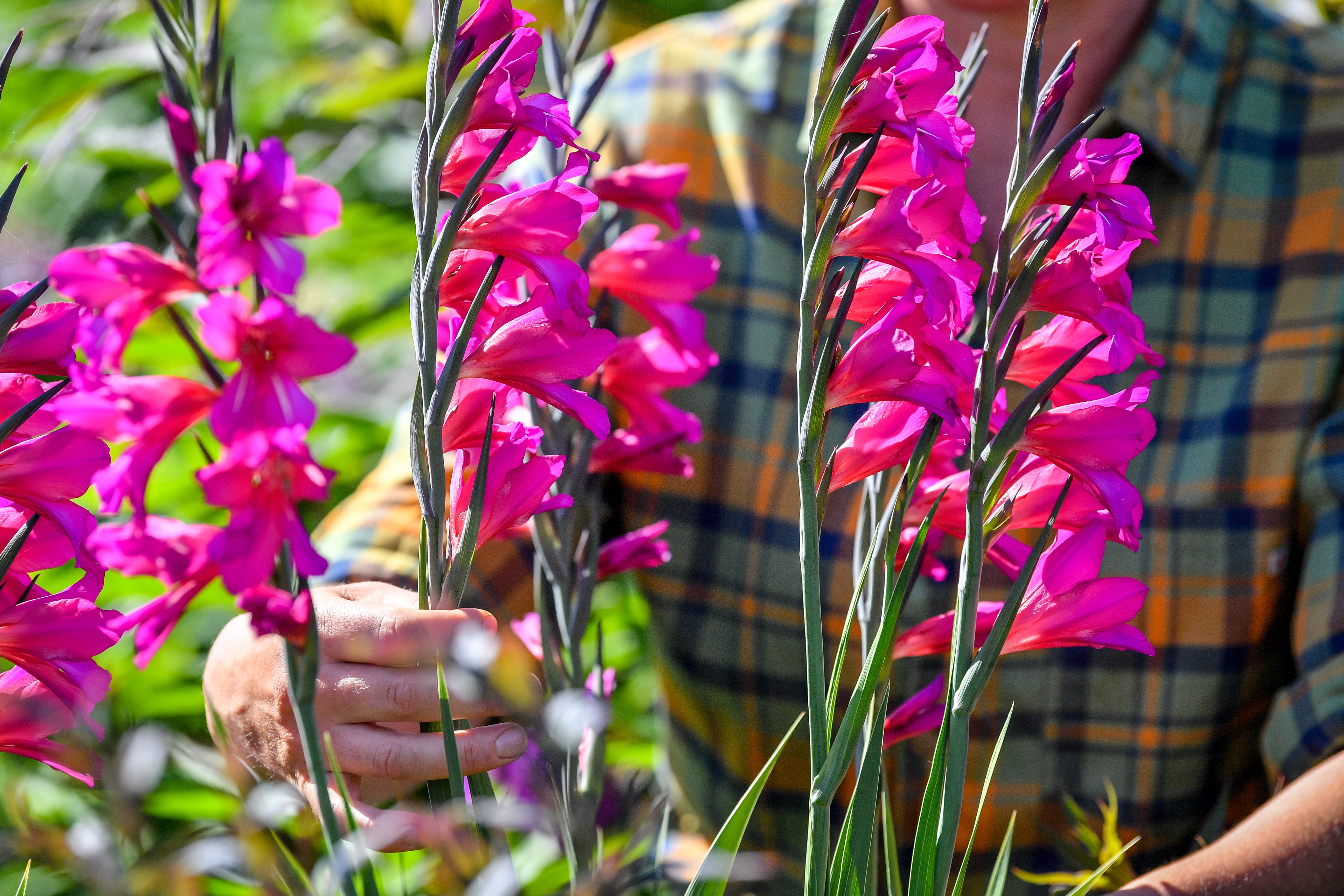 According to Indigenous views of the world, humans also need winter to rest and summer to bloom