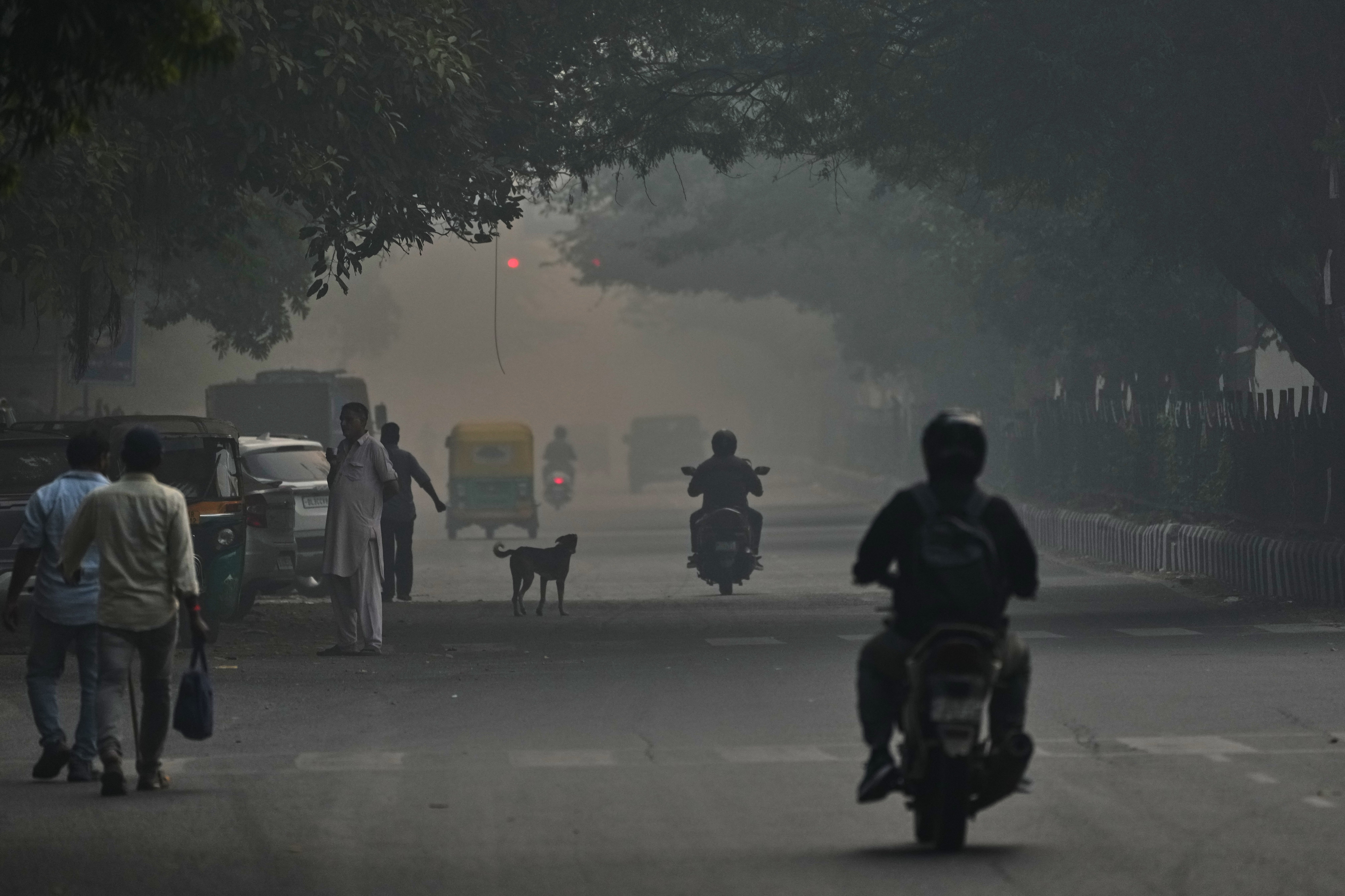 India Pollution