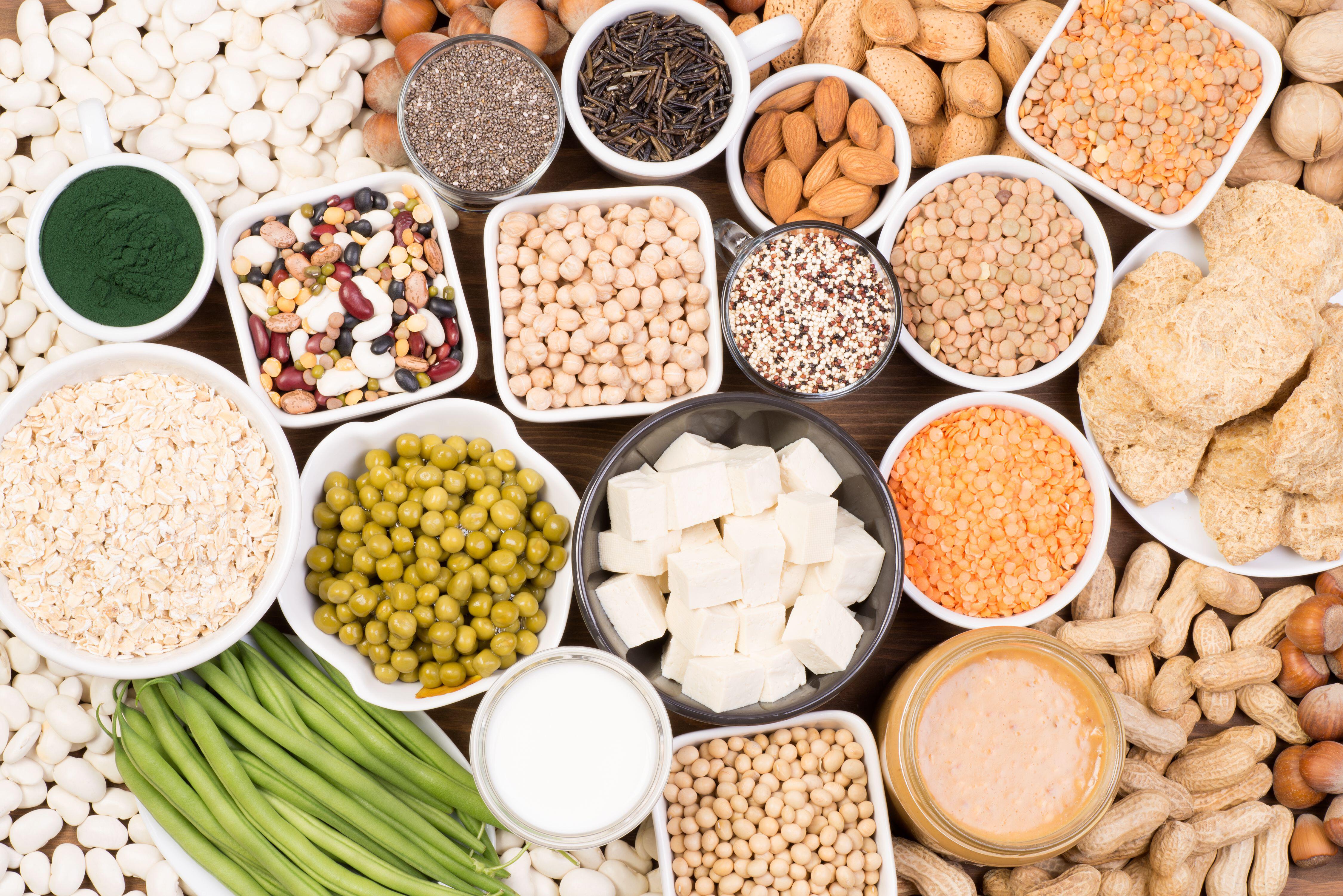 Plant-based protein food sources include things such as beans, legumes, tofu and tempeh