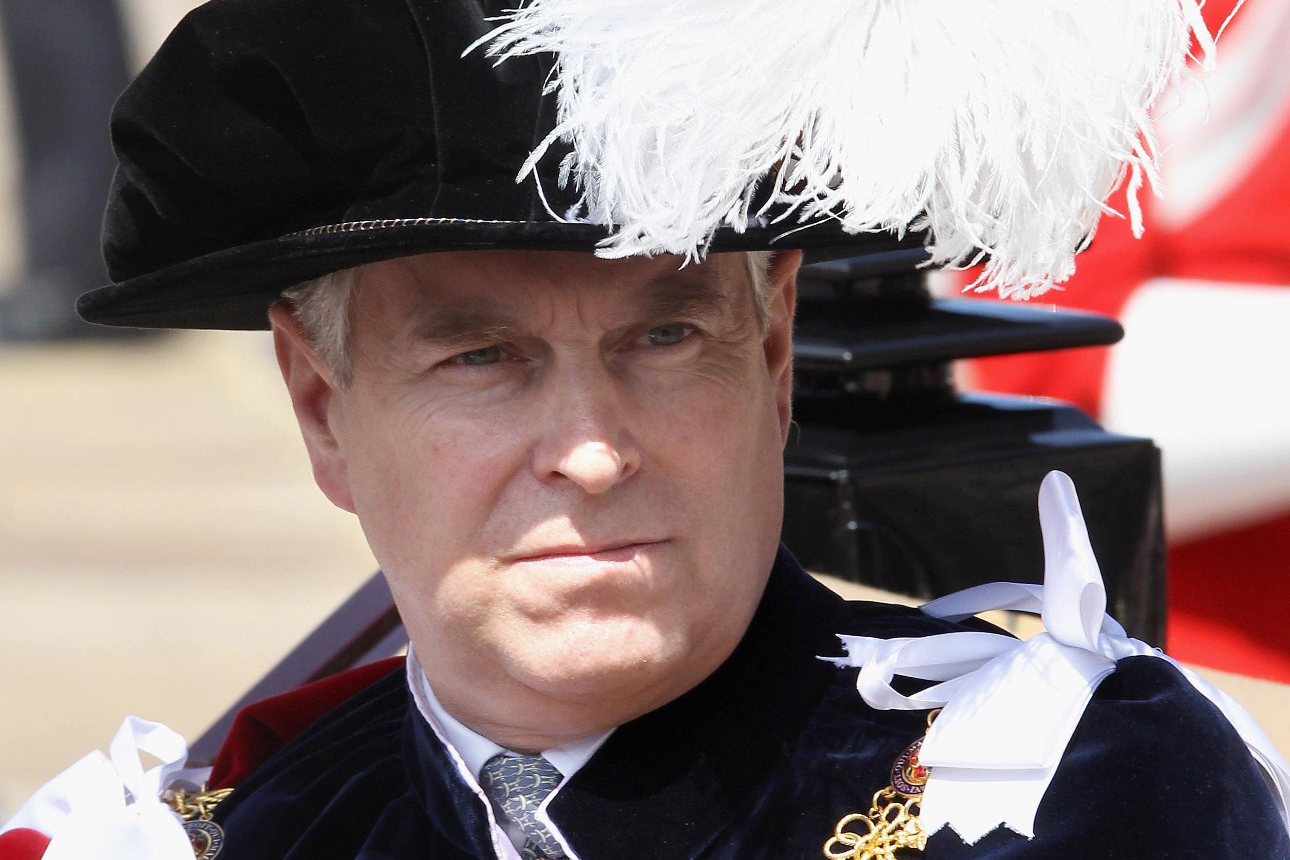 <p>Andrew in his Order of the Garter robes</p>