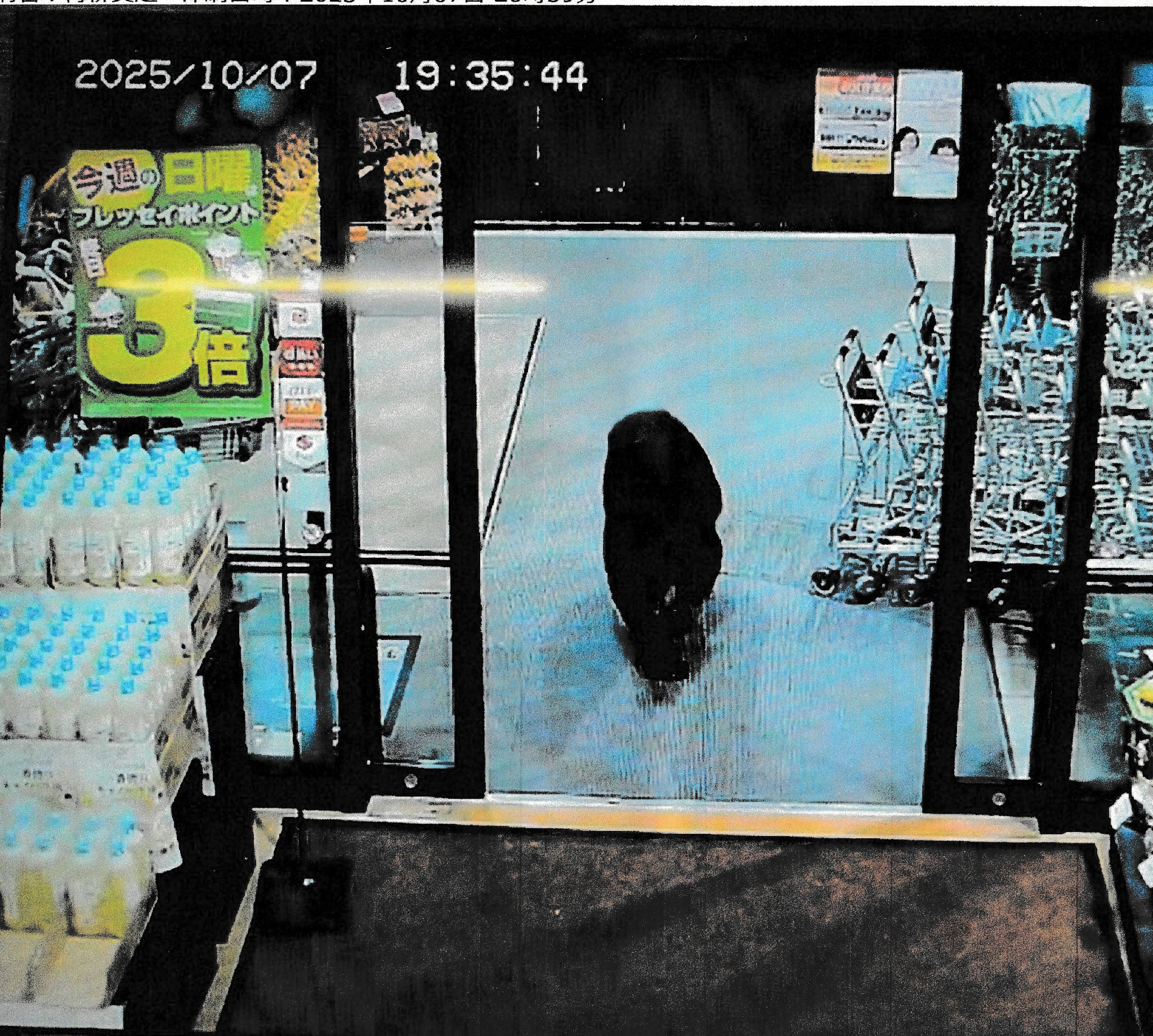 <p>This handout photo, taken on 7 October 2025 and released by Gunma Prefectural Police via Jiji Press, shows a CCTV camera footage of a bear walking inside a supermarket in Numata, Gunma prefecture</p>