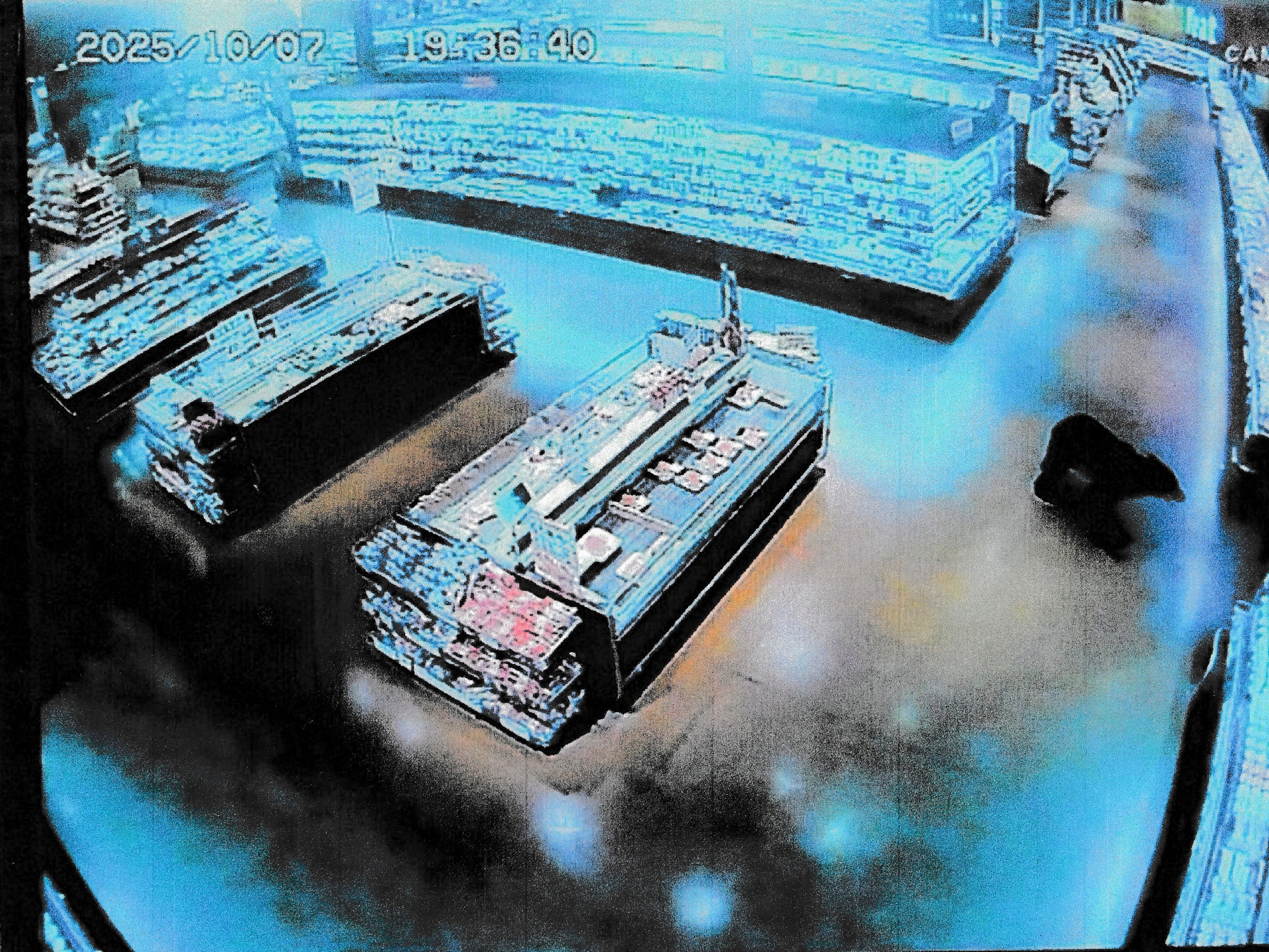 File. A bear roamed into a supermarket in central Japan on the evening of 7 October 2025, injuring two men in the latest of a string of bear attacks, officials said