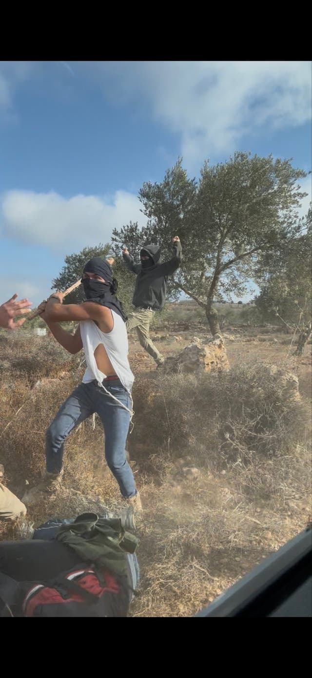 <p>A settler with a club in the West Bank strikes a woman in an olive grove</p>
