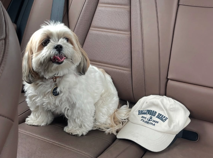 Eilyn Jimenez says her 12-year-old maltese-shitzu, Aria, died in August in the care of a Rover petsitter. When she returned from vacation she was given the dog’s cremated remains.